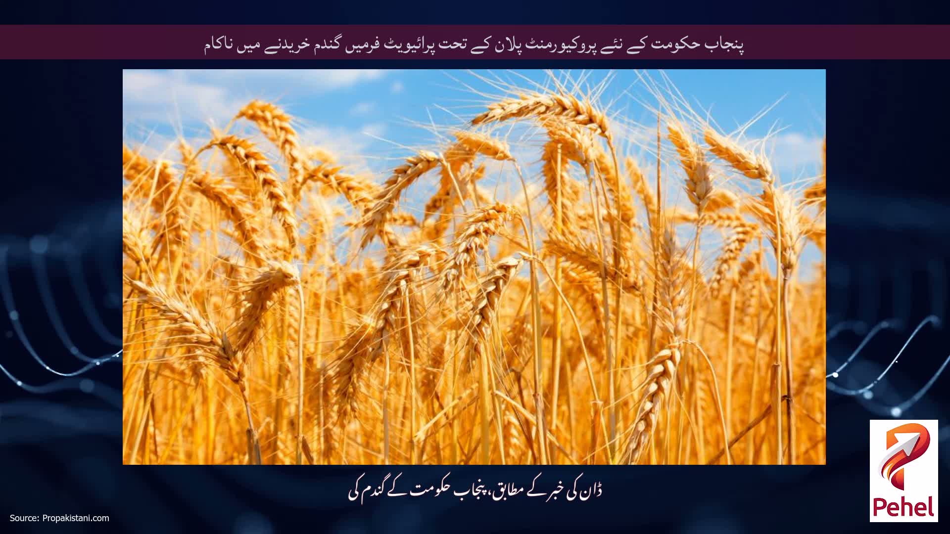 پنجاب حکومت کے نئے پروکیورمنٹ پلان کے تحت پرائیویٹ فرمیں گندم خریدنے میں ناکام