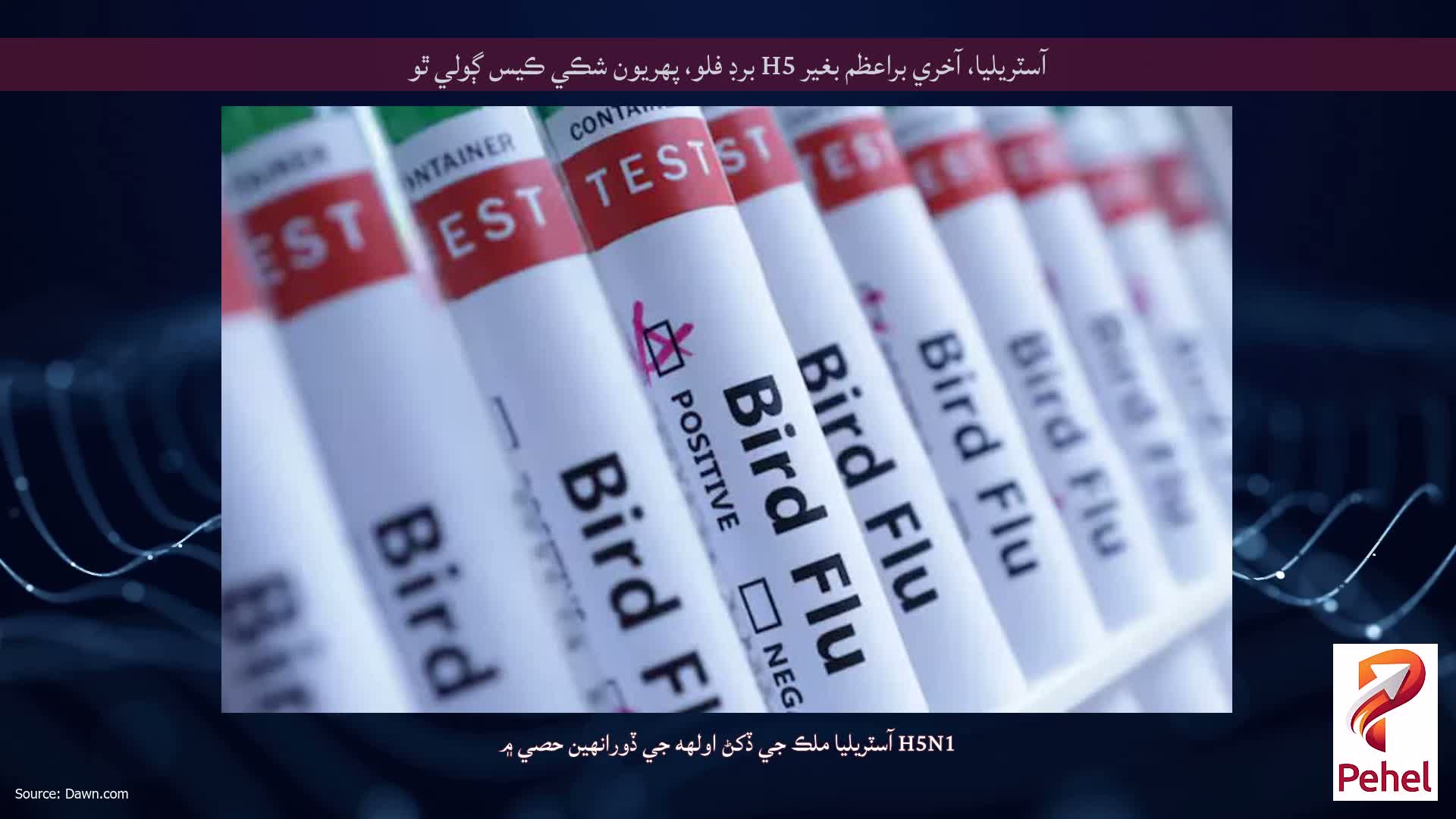 آسٽريليا، آخري براعظم بغير H5 برڊ فلو، پهريون شڪي ڪيس ڳولي ٿو
