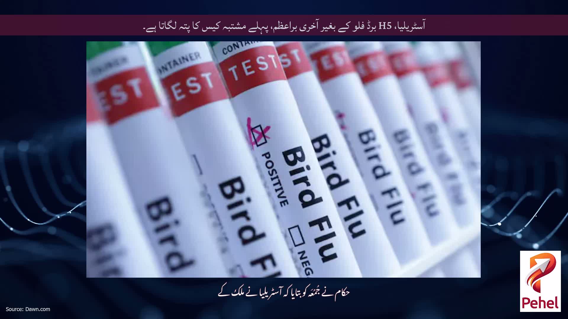 آسٹریلیا، H5 برڈ فلو کے بغیر آخری براعظم، پہلے مشتبہ کیس کا پتہ لگاتا ہے۔
