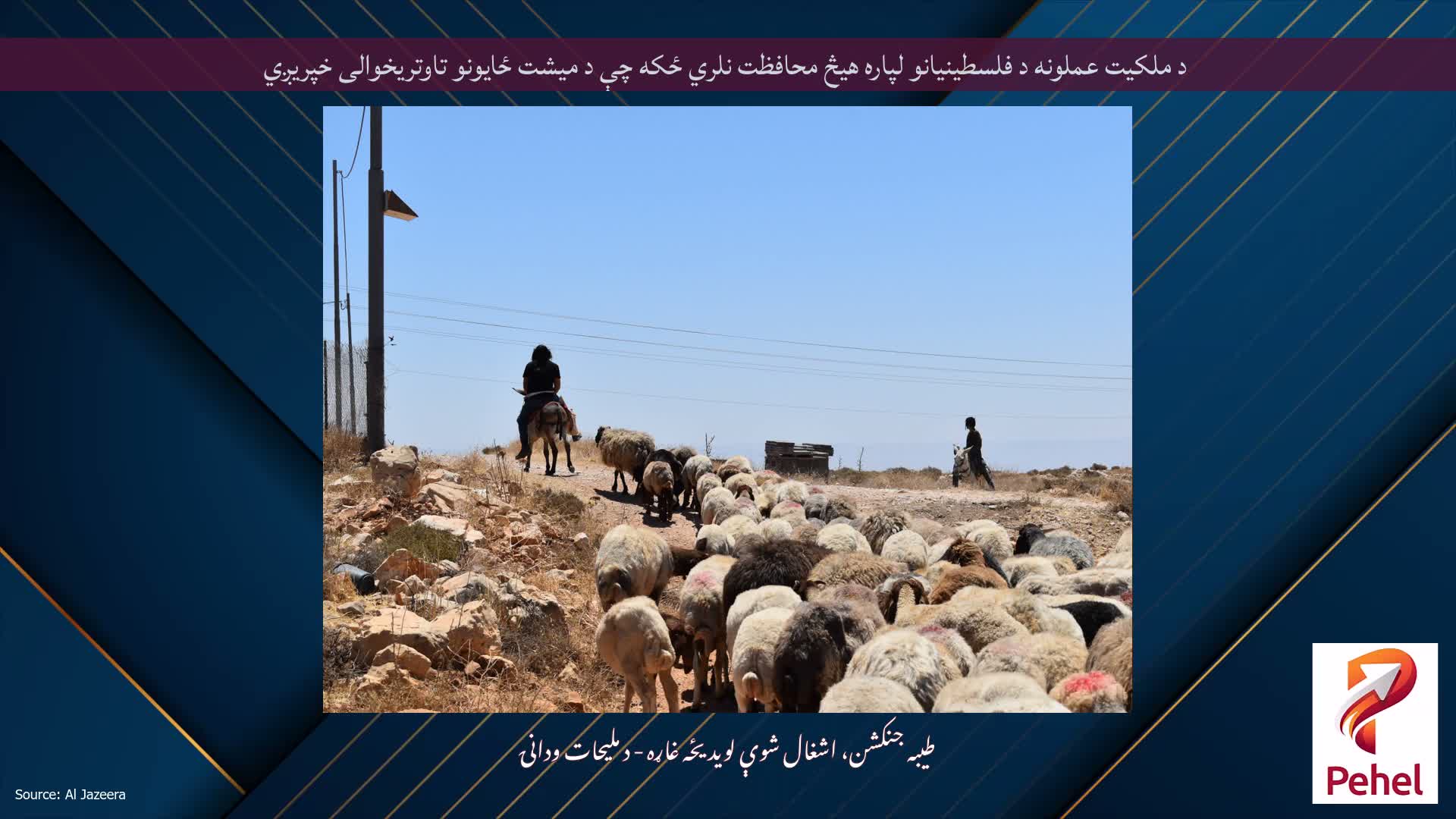 د ملکیت عملونه د فلسطینیانو لپاره هیڅ محافظت نلري ځکه چې د میشت ځایونو تاوتریخوالی خپریږي
