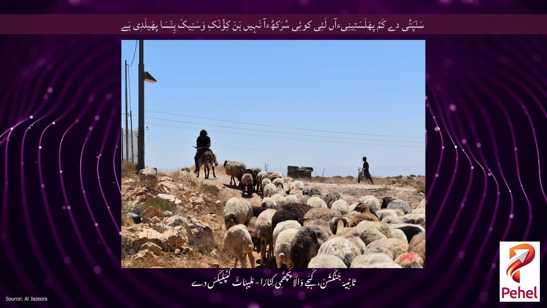 سَن٘پَتِّی دے کَمَّ پھَلَسَتِینِیءآں لَئِی کوئِی سُرَکھِّءآ نَہِیں ہَنَ کِؤُن٘کِ وَسَنِیکَ ہِن٘سَا پھَیلَدِی ہَے