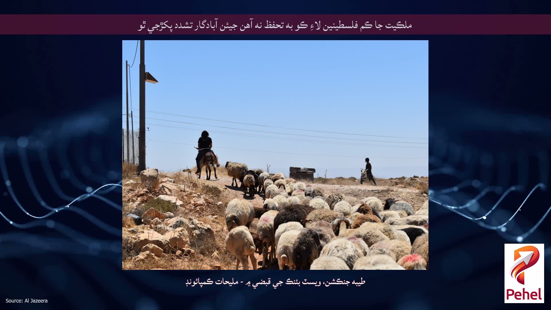 ملڪيت جا ڪم فلسطينين لاءِ ڪو به تحفظ نه آهن جيئن آبادگار تشدد پکڙجي ٿو