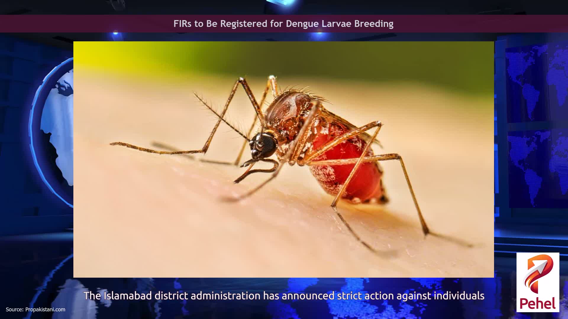 FIRs to Be Registered for Dengue Larvae Breeding
