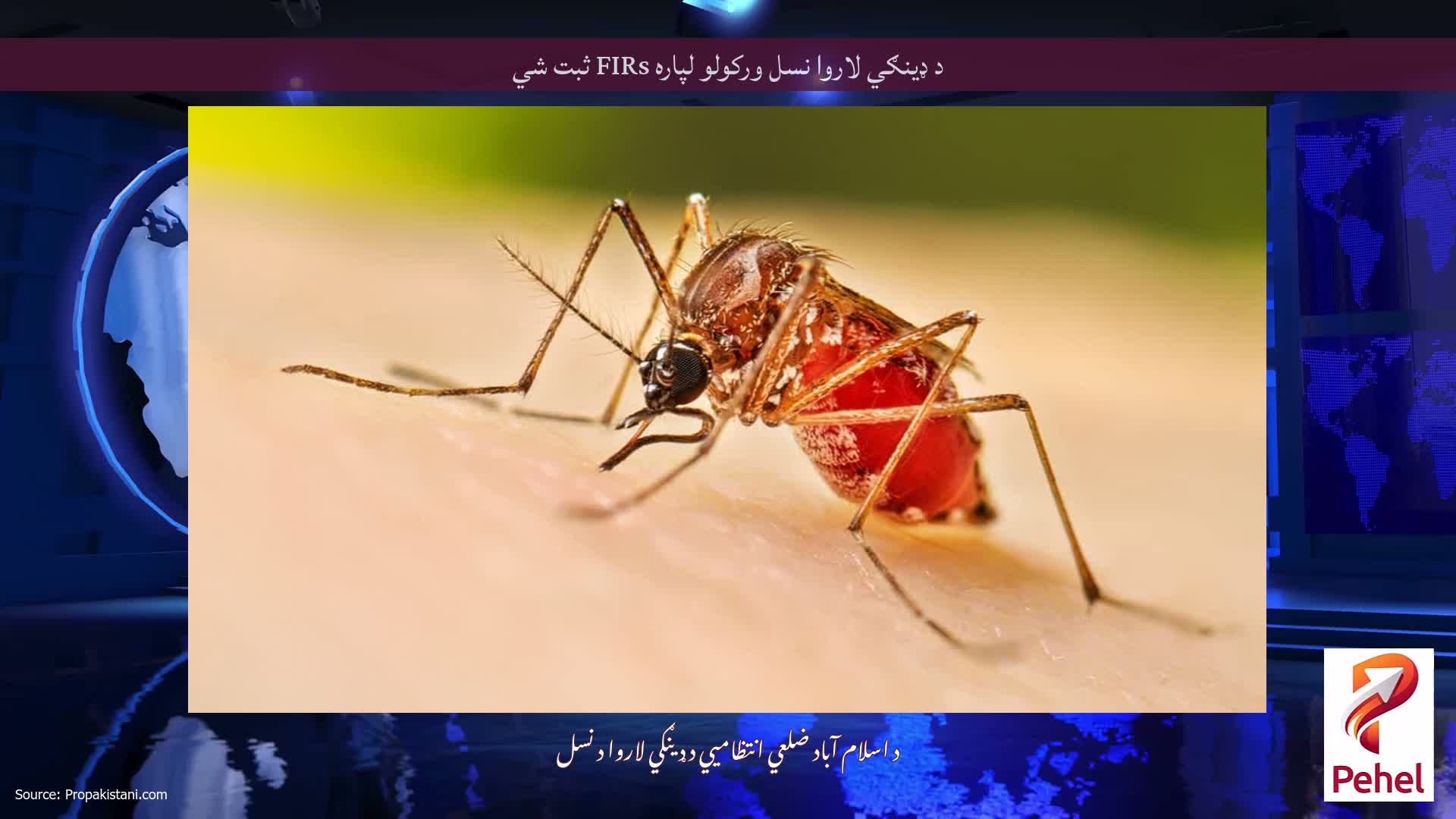 د ډینګي لاروا نسل ورکولو لپاره FIRs ثبت شي