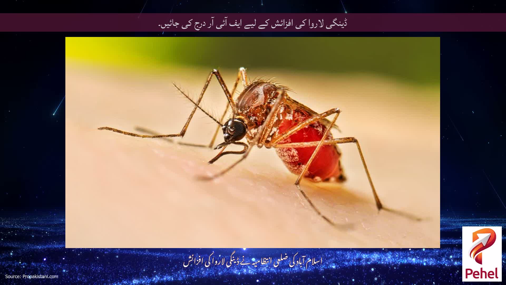 ڈینگی لاروا کی افزائش کے لیے ایف آئی آر درج کی جائیں۔