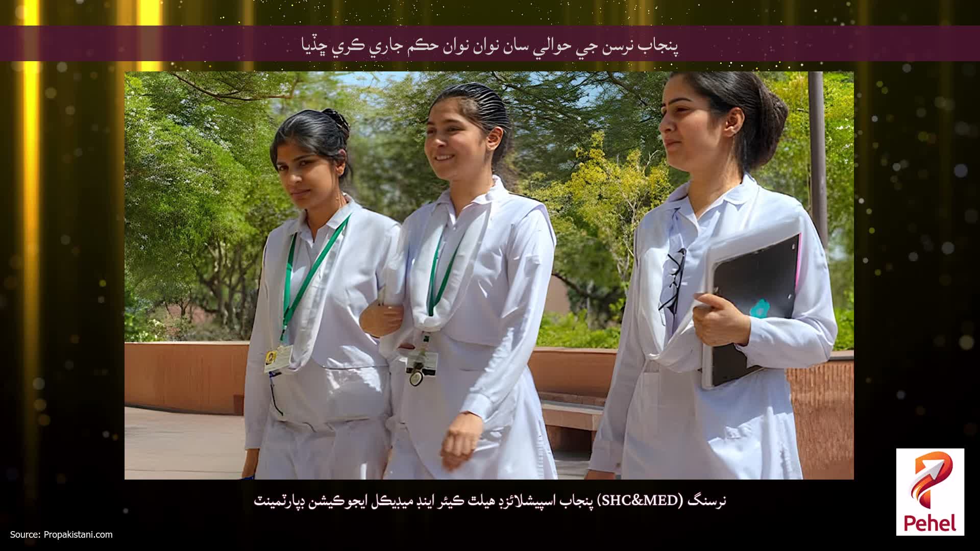 پنجاب نرسن جي حوالي سان نوان نوان حڪم جاري ڪري ڇڏيا