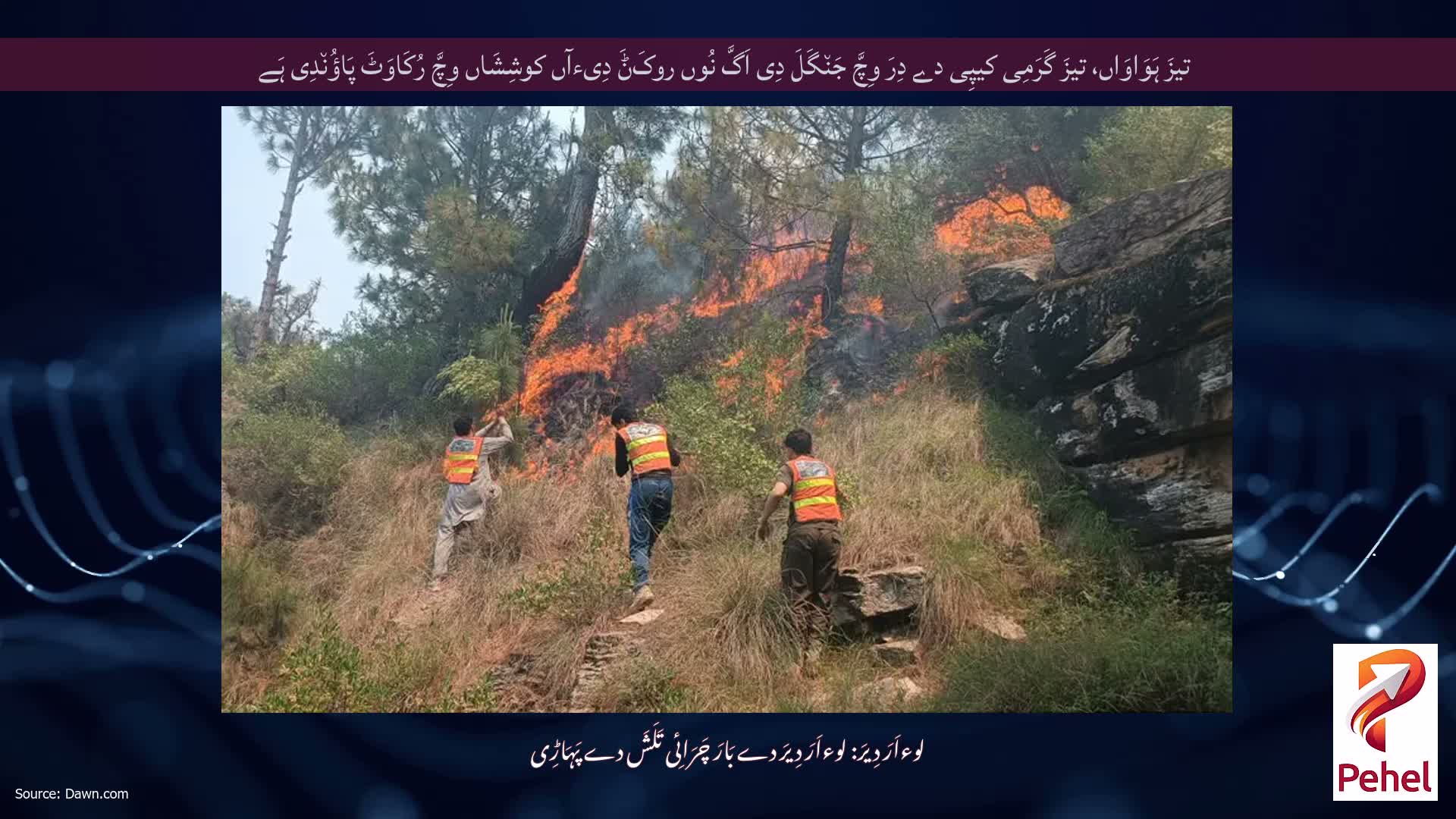 تیزَ ہَوَاوَاں، تیزَ گَرَمِی کیپِی دے دِرَ وِچَّ جَن٘گَلَ دِی اَگَّ نُوں روکَݨَ دِیءآں کوشِشَاں وِچَّ رُکَاوَٹَ پَاؤُن٘دِی ہَے