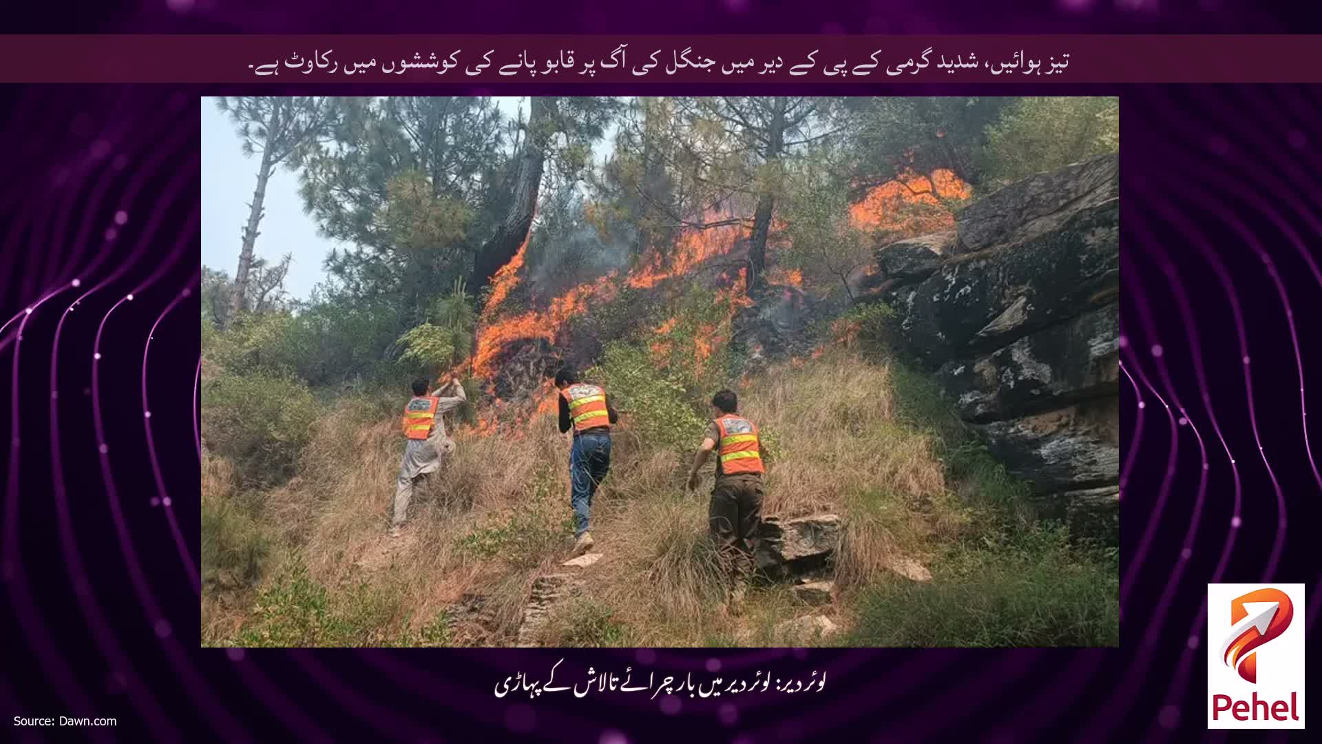 تیز ہوائیں، شدید گرمی کے پی کے دیر میں جنگل کی آگ پر قابو پانے کی کوششوں میں رکاوٹ ہے۔