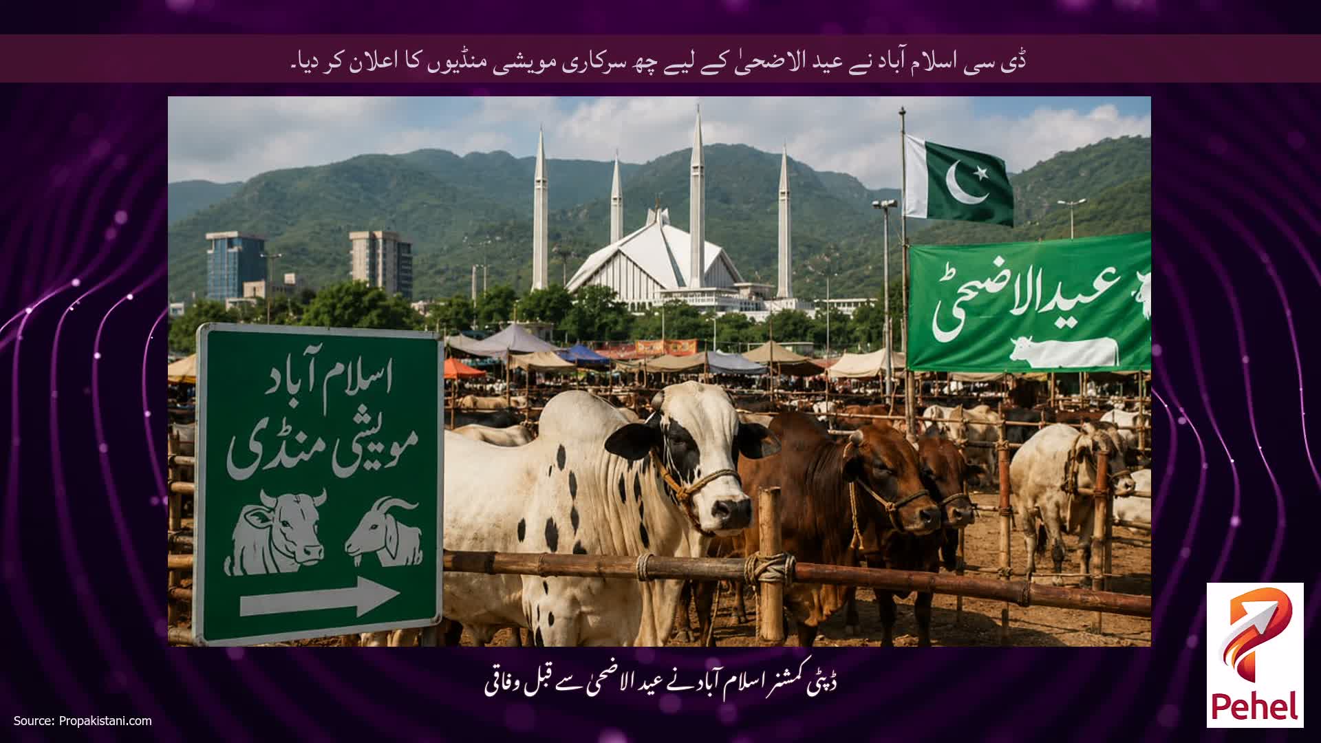ڈی سی اسلام آباد نے عید الاضحیٰ کے لیے چھ سرکاری مویشی منڈیوں کا اعلان کر دیا۔