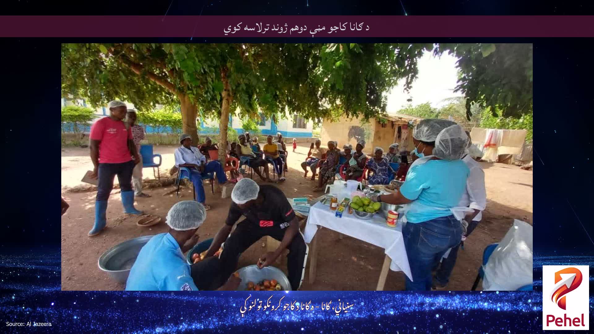 د ګانا کاجو مڼې دوهم ژوند ترلاسه کوي