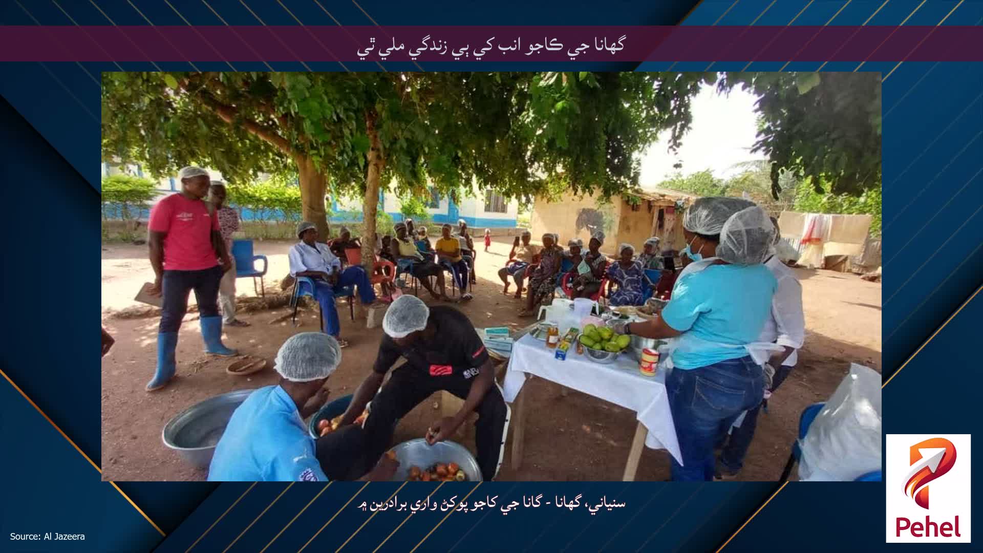 گھانا جي ڪاجو انب کي ٻي زندگي ملي ٿي