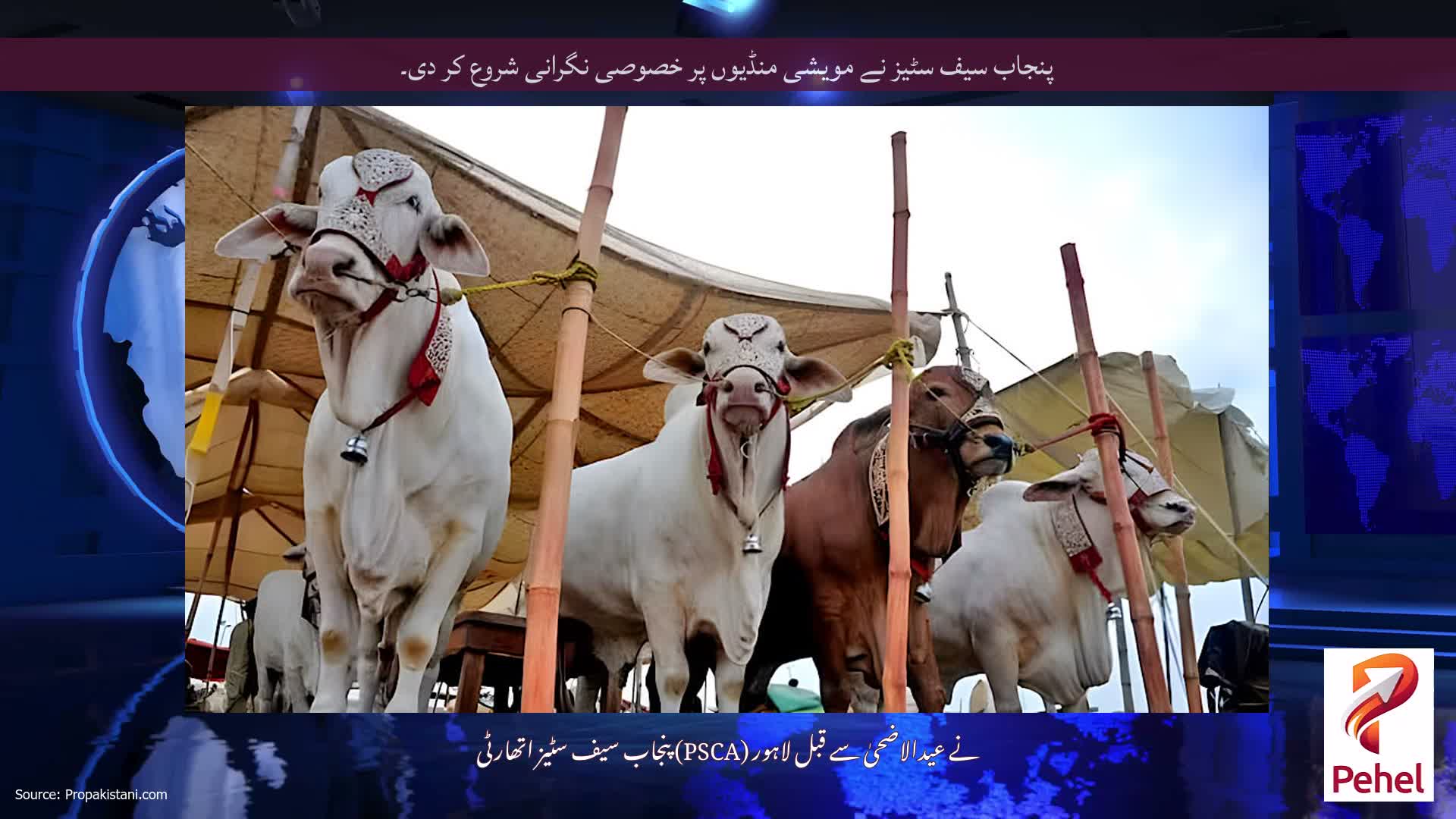 پنجاب سیف سٹیز نے مویشی منڈیوں پر خصوصی نگرانی شروع کر دی۔