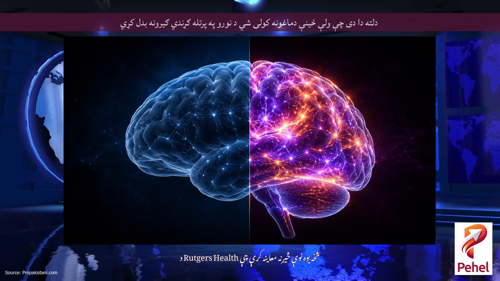 دلته دا دی چې ولې ځینې دماغونه کولی شي د نورو په پرتله ګړندي ګیرونه بدل کړي