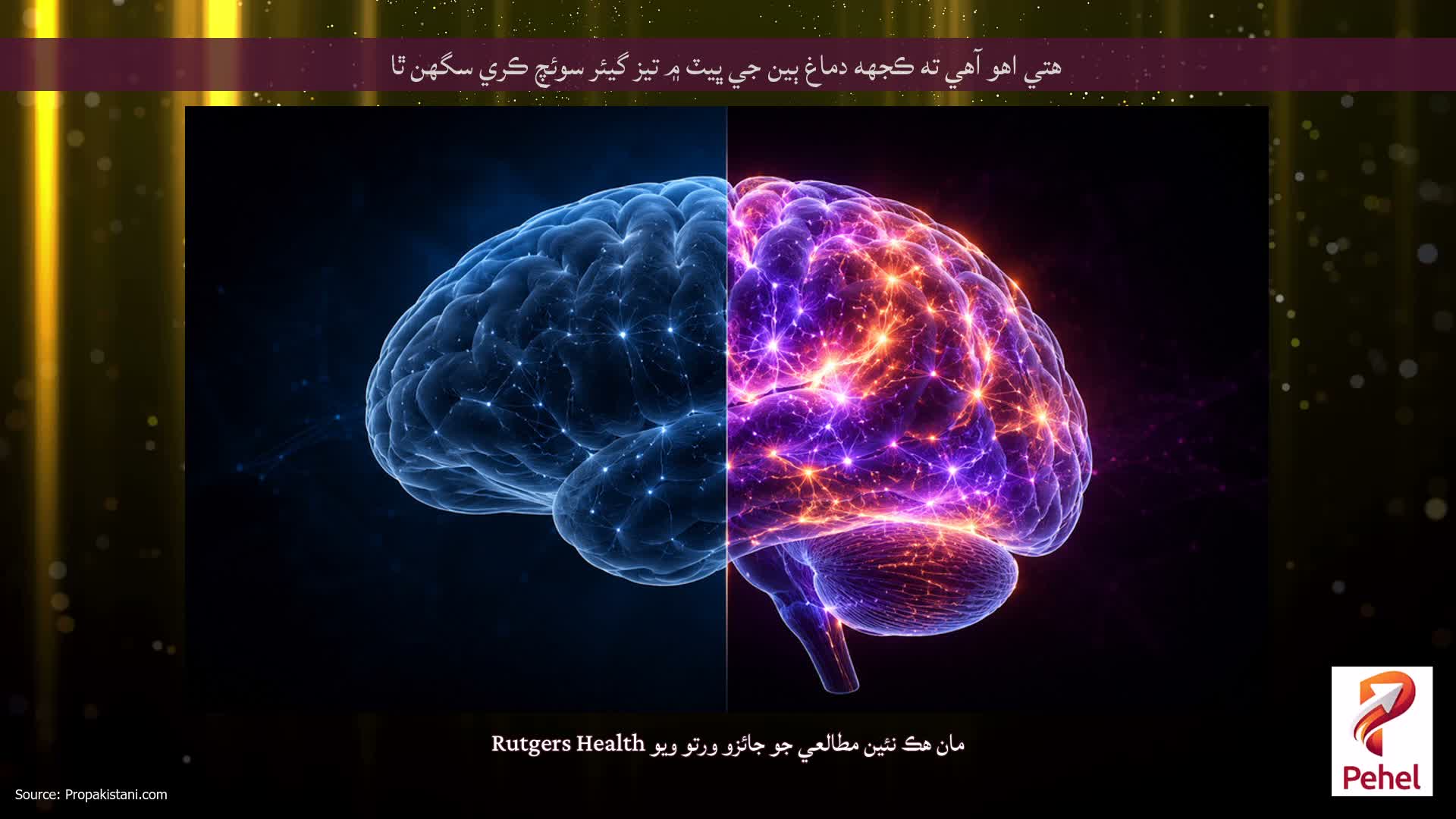 هتي اهو آهي ته ڪجهه دماغ ٻين جي ڀيٽ ۾ تيز گيئر سوئچ ڪري سگهن ٿا