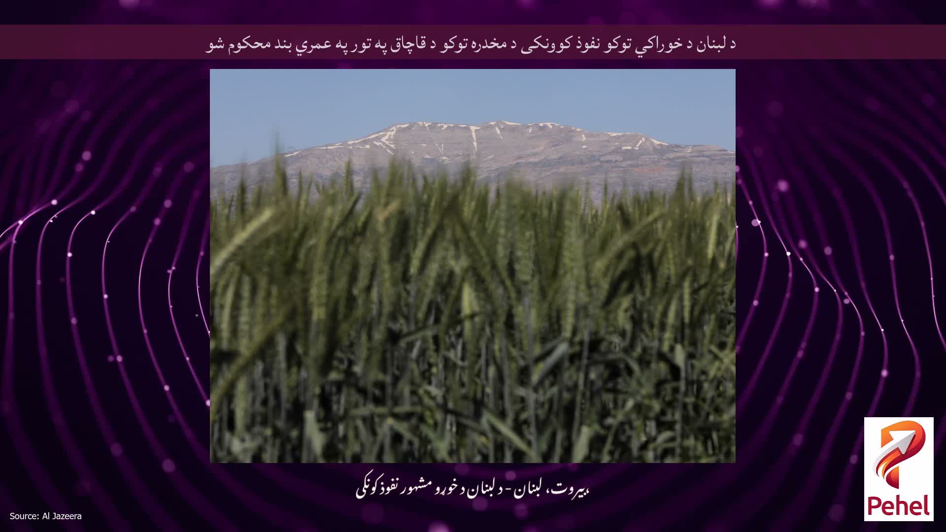 د لبنان د خوراکي توکو نفوذ کوونکی د مخدره توکو د قاچاق په تور په عمري بند محکوم شو