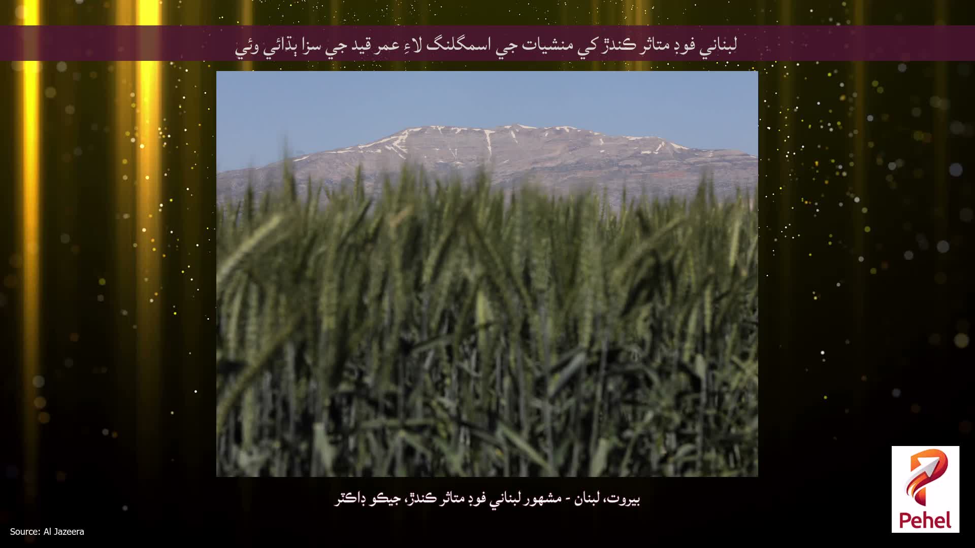 لبناني فوڊ متاثر ڪندڙ کي منشيات جي اسمگلنگ لاءِ عمر قيد جي سزا ٻڌائي وئي