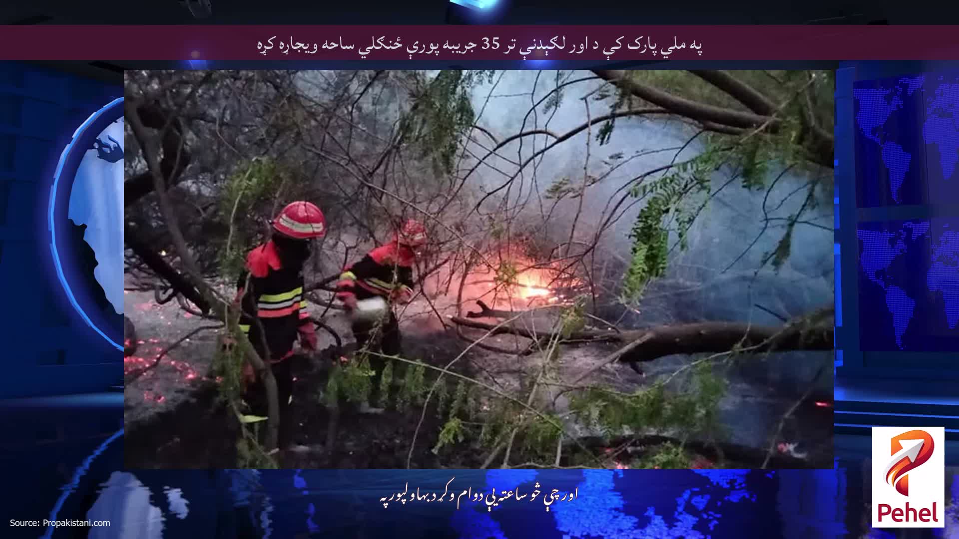 په ملي پارک کې د اور لګېدنې تر 35 جریبه پورې ځنګلي ساحه ویجاړه کړه