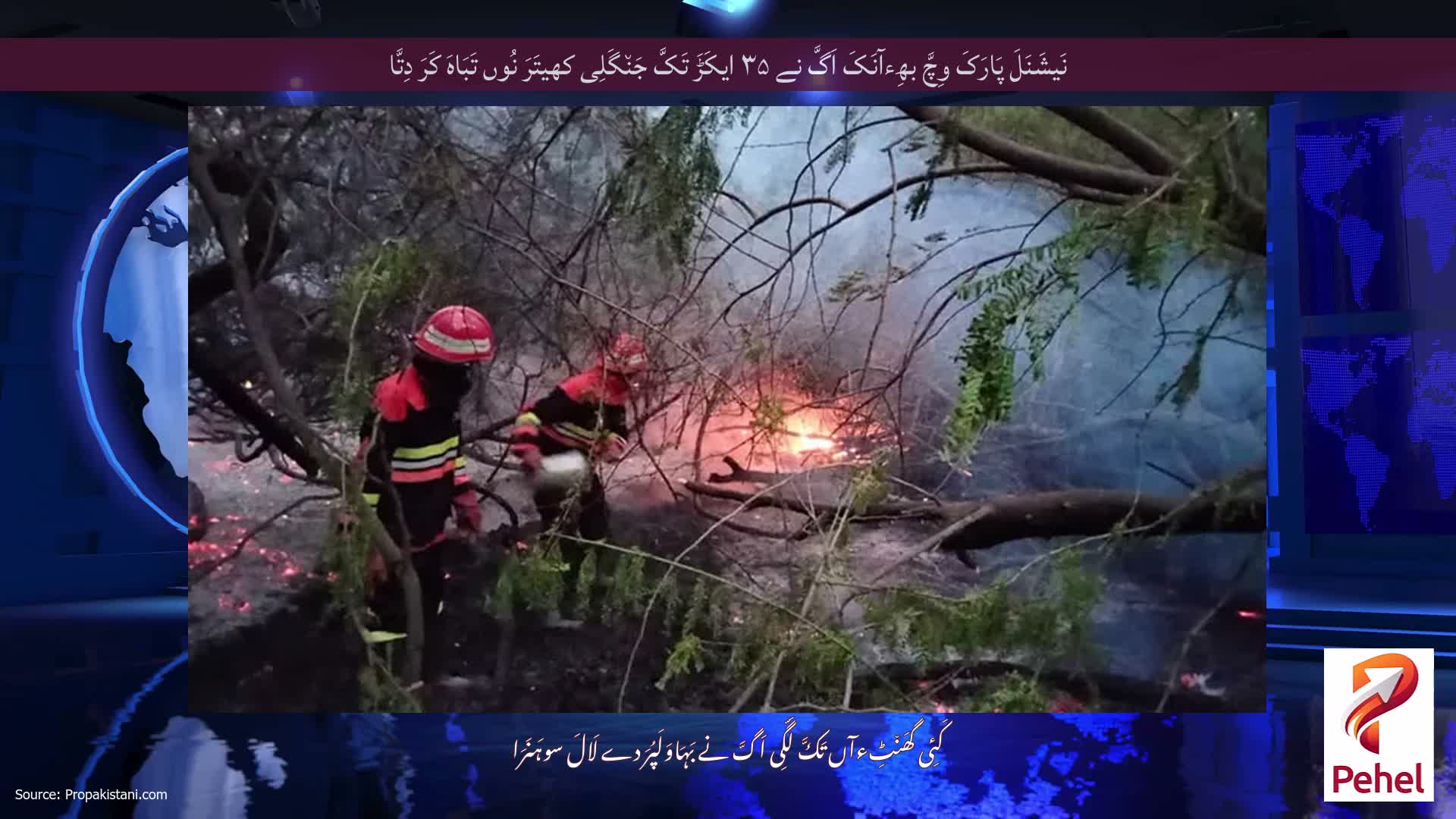 نَیشَنَلَ پَارَکَ وِچَّ بھِءآنَکَ اَگَّ نے ۳۵ ایکَڑَ تَکَّ جَن٘گَلِی کھیتَرَ نُوں تَبَاہَ کَرَ دِتَّا