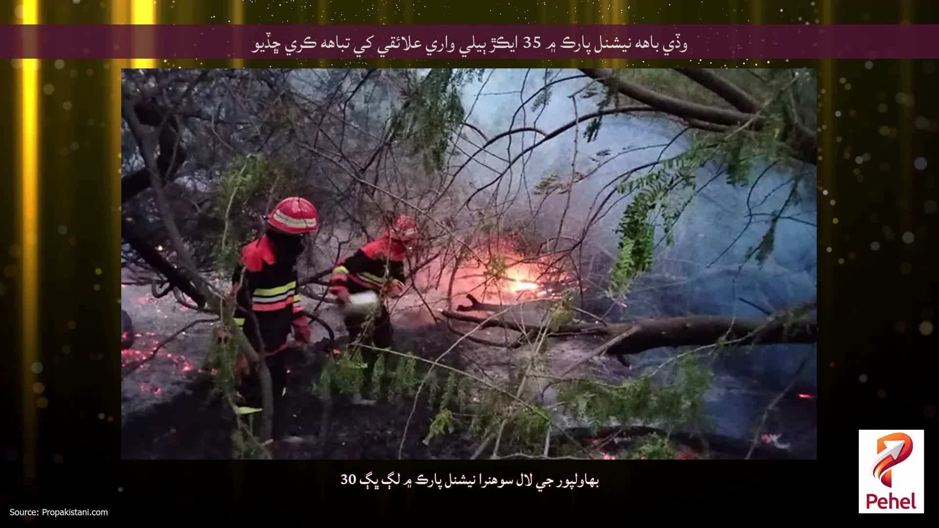 وڏي باهه نيشنل پارڪ ۾ 35 ايڪڙ ٻيلي واري علائقي کي تباهه ڪري ڇڏيو