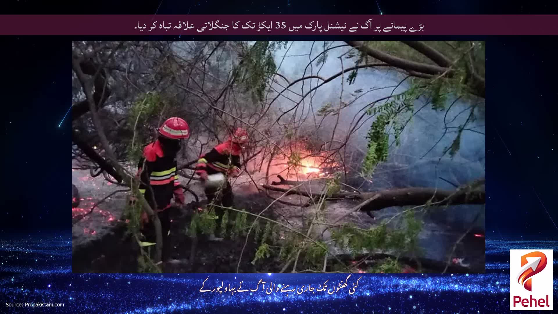 بڑے پیمانے پر آگ نے نیشنل پارک میں 35 ایکڑ تک کا جنگلاتی علاقہ تباہ کر دیا۔