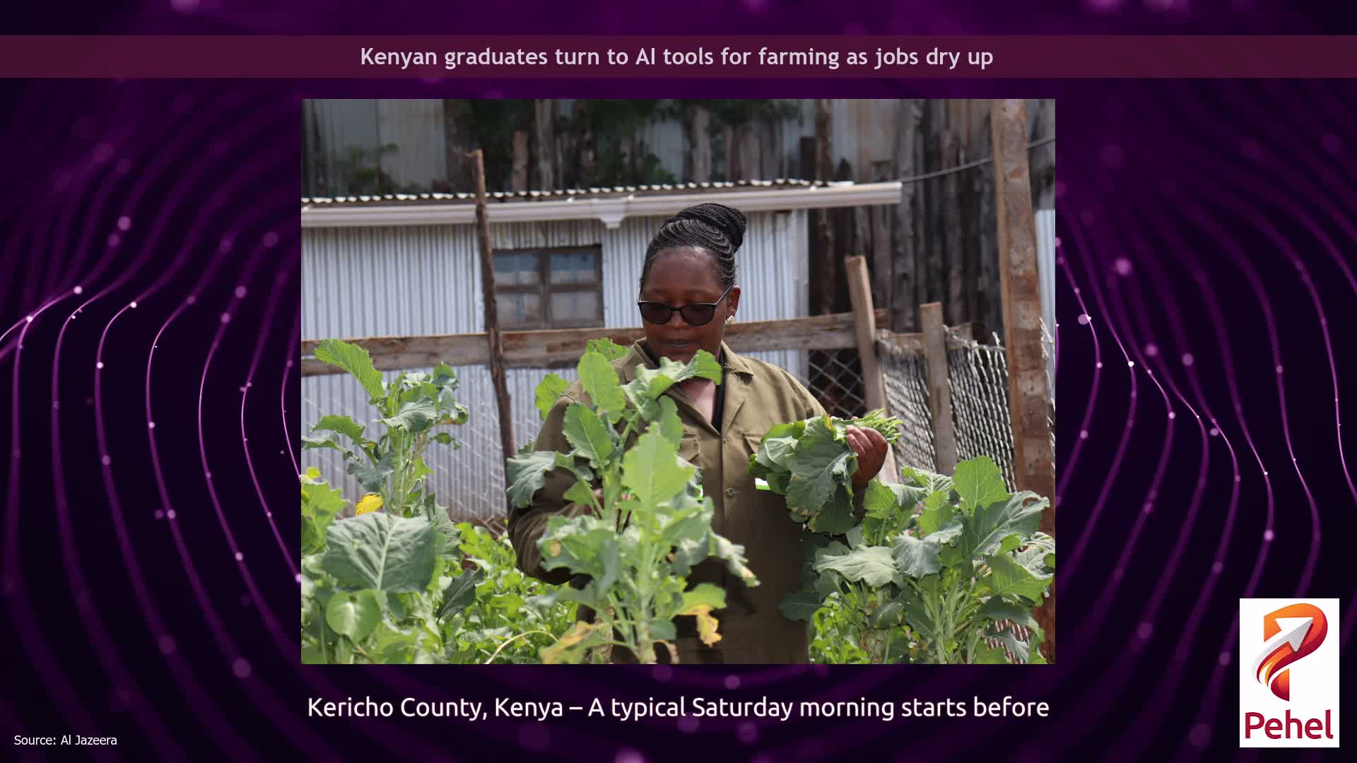 Kenyan graduates turn to AI tools for farming as jobs dry up