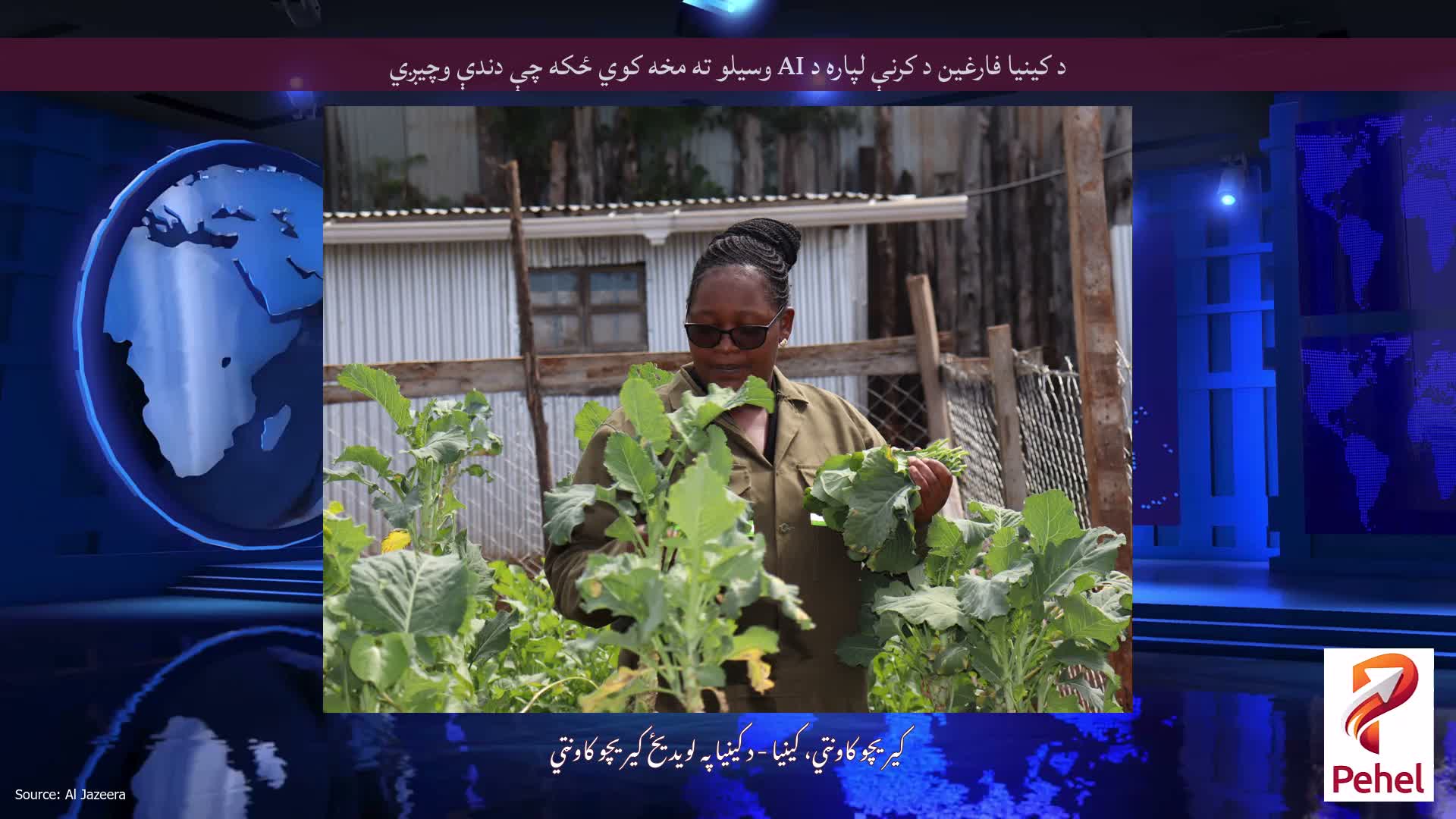 د کینیا فارغین د کرنې لپاره د AI وسیلو ته مخه کوي ځکه چې دندې وچیږي