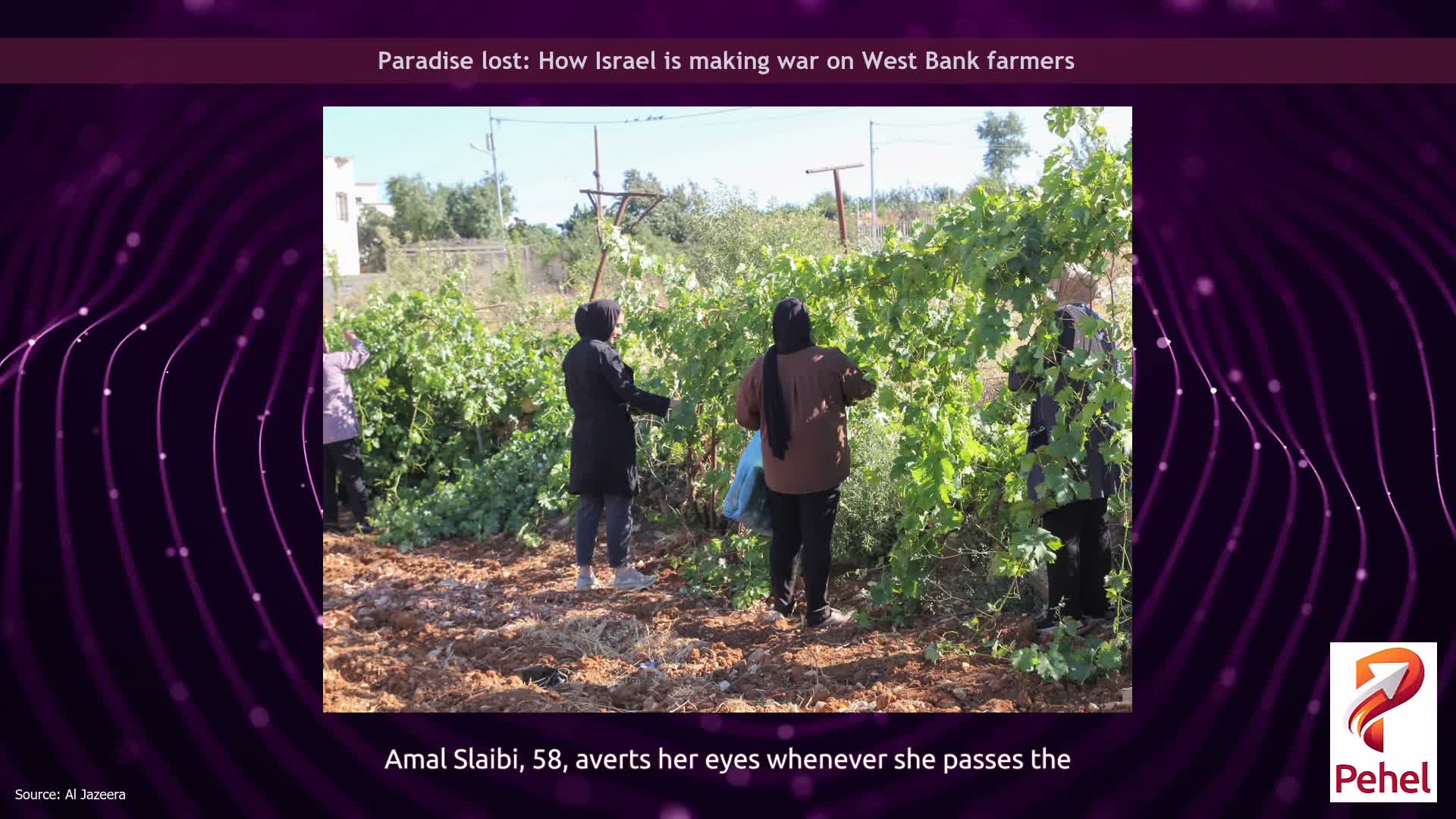 Paradise lost: How Israel is making war on West Bank farmers