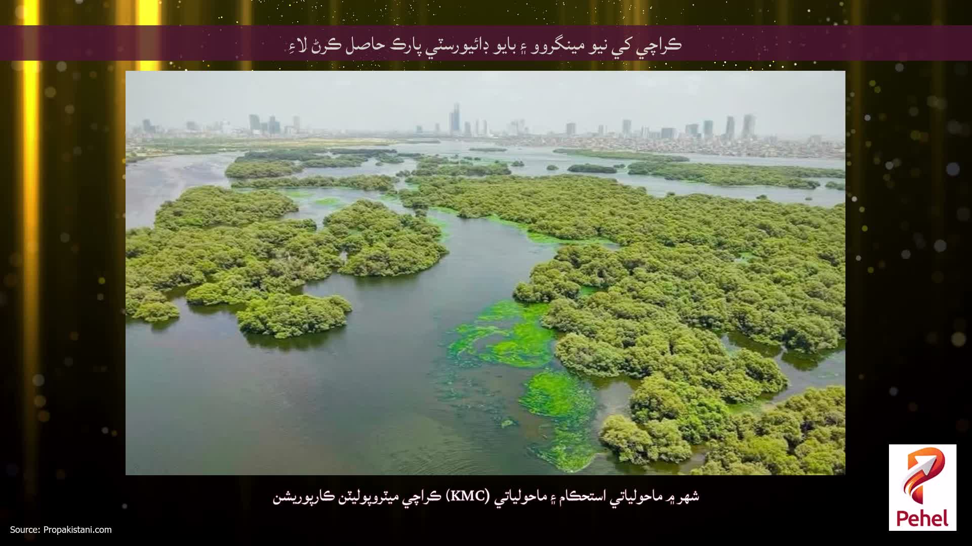 ڪراچي کي نيو مينگروو ۽ بايو ڊائيورسٽي پارڪ حاصل ڪرڻ لاءِ
