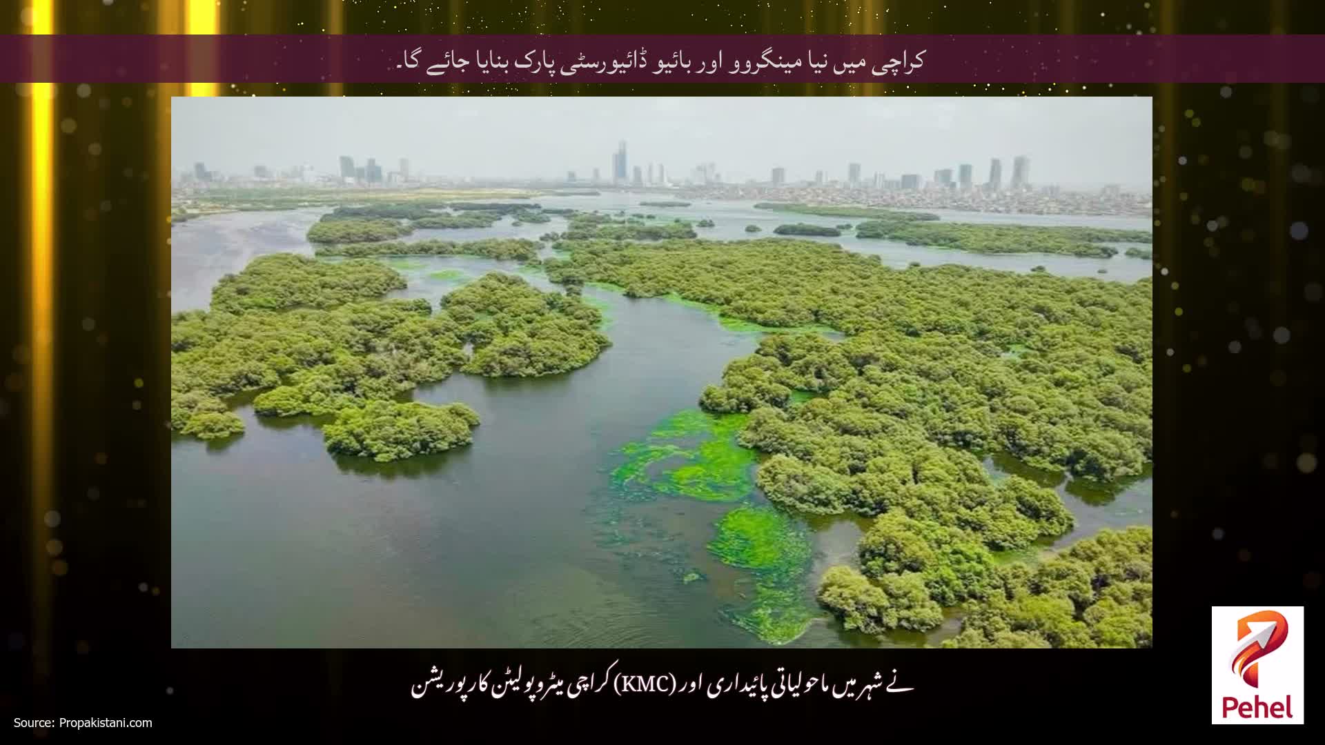 کراچی میں نیا مینگروو اور بائیو ڈائیورسٹی پارک بنایا جائے گا۔