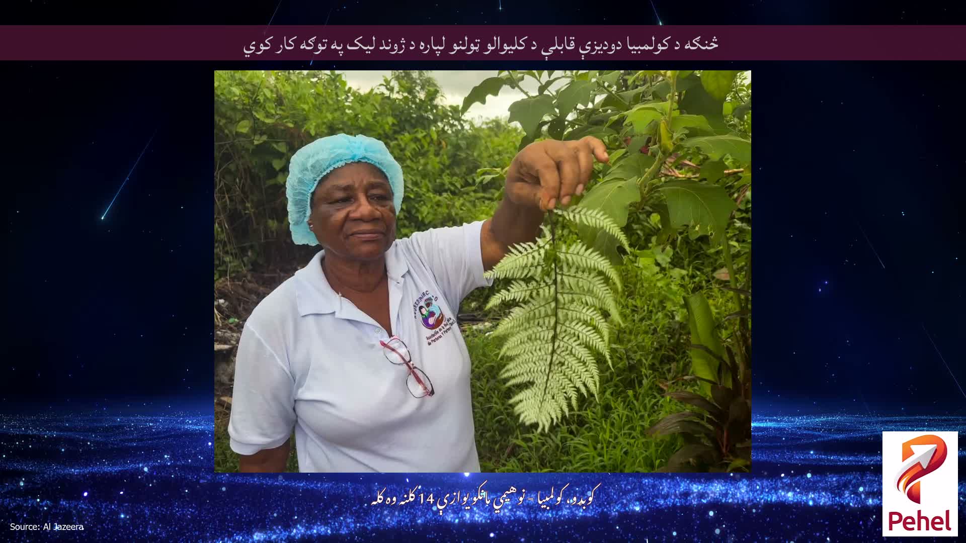 څنګه د کولمبیا دودیزې قابلې د کلیوالو ټولنو لپاره د ژوند لیک په توګه کار کوي