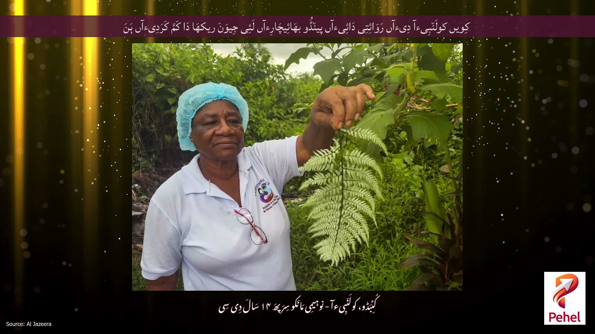 کِویں کولَن٘بِیءآ دِیءآں رَوَائِتِی دَائِیءآں پین٘ڈُو بھَائِیچَارِءآں لَئِی جِیوَنَ ریکھَا دَا کَمَّ کَرَدِیءآں ہَنَ