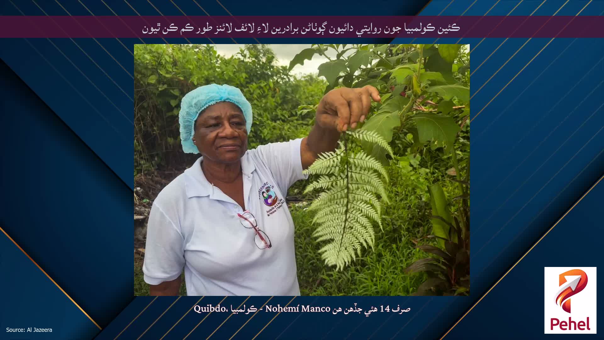 ڪئين ڪولمبيا جون روايتي دائيون ڳوٺاڻن برادرين لاءِ لائف لائنز طور ڪم ڪن ٿيون