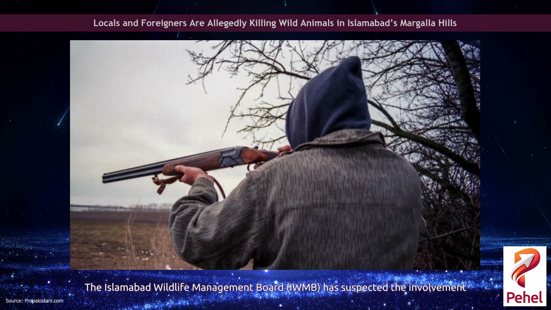 Locals and Foreigners Are Allegedly Killing Wild Animals in Islamabad’s Margalla Hills