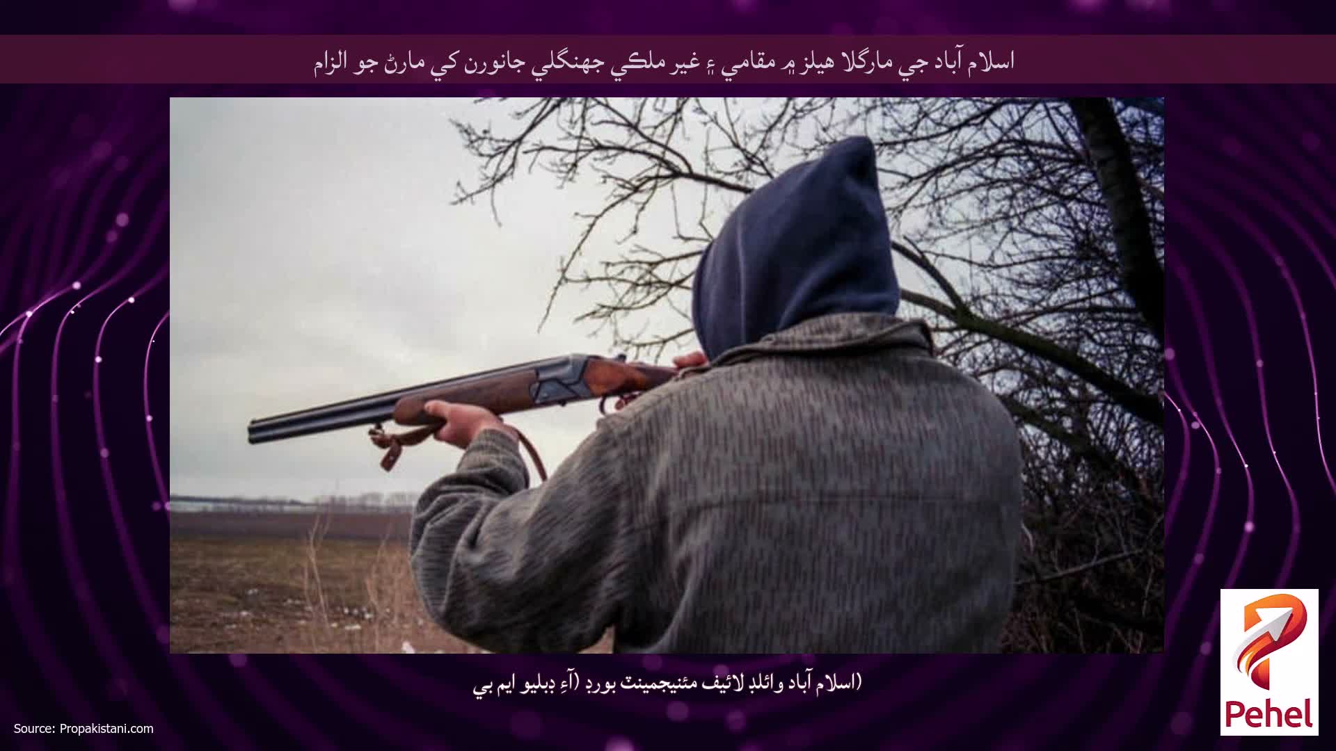 اسلام آباد جي مارگلا هيلز ۾ مقامي ۽ غير ملڪي جهنگلي جانورن کي مارڻ جو الزام