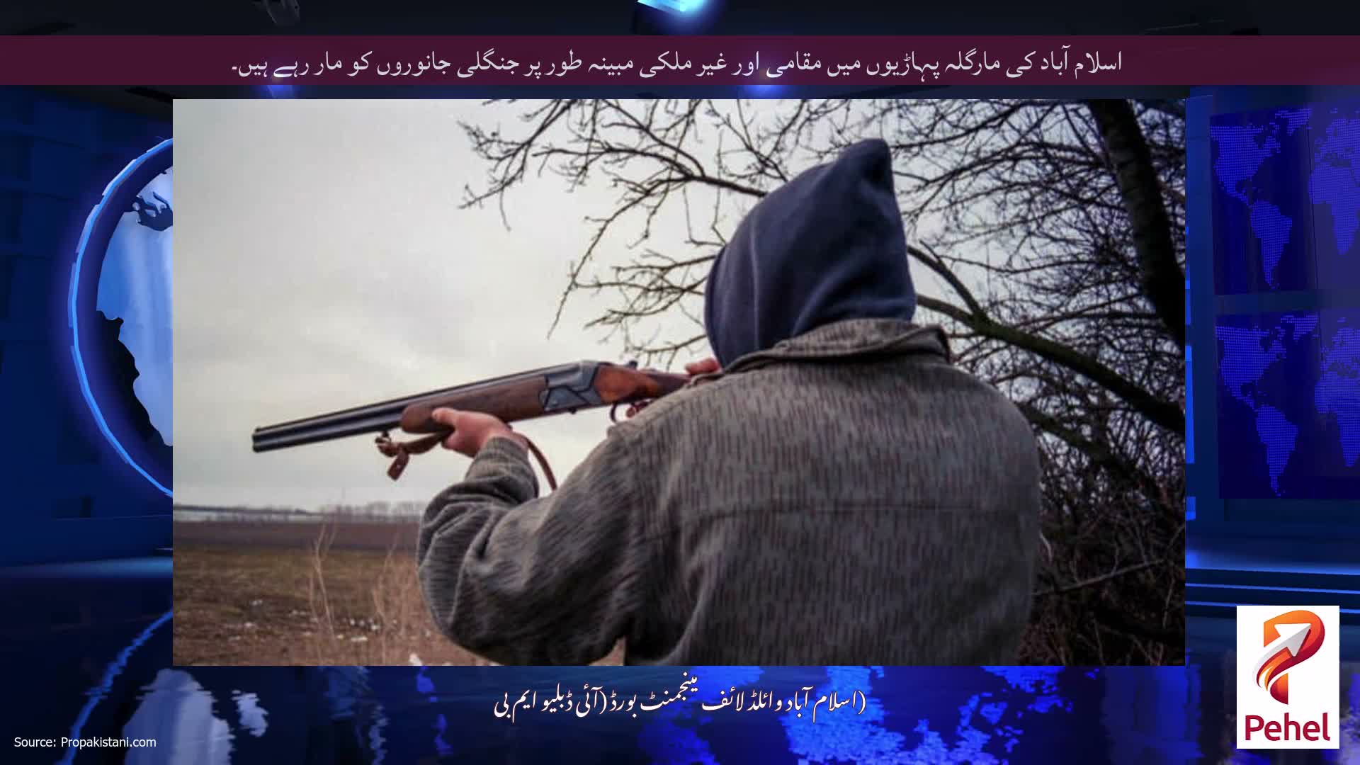 اسلام آباد کی مارگلہ پہاڑیوں میں مقامی اور غیر ملکی مبینہ طور پر جنگلی جانوروں کو مار رہے ہیں۔