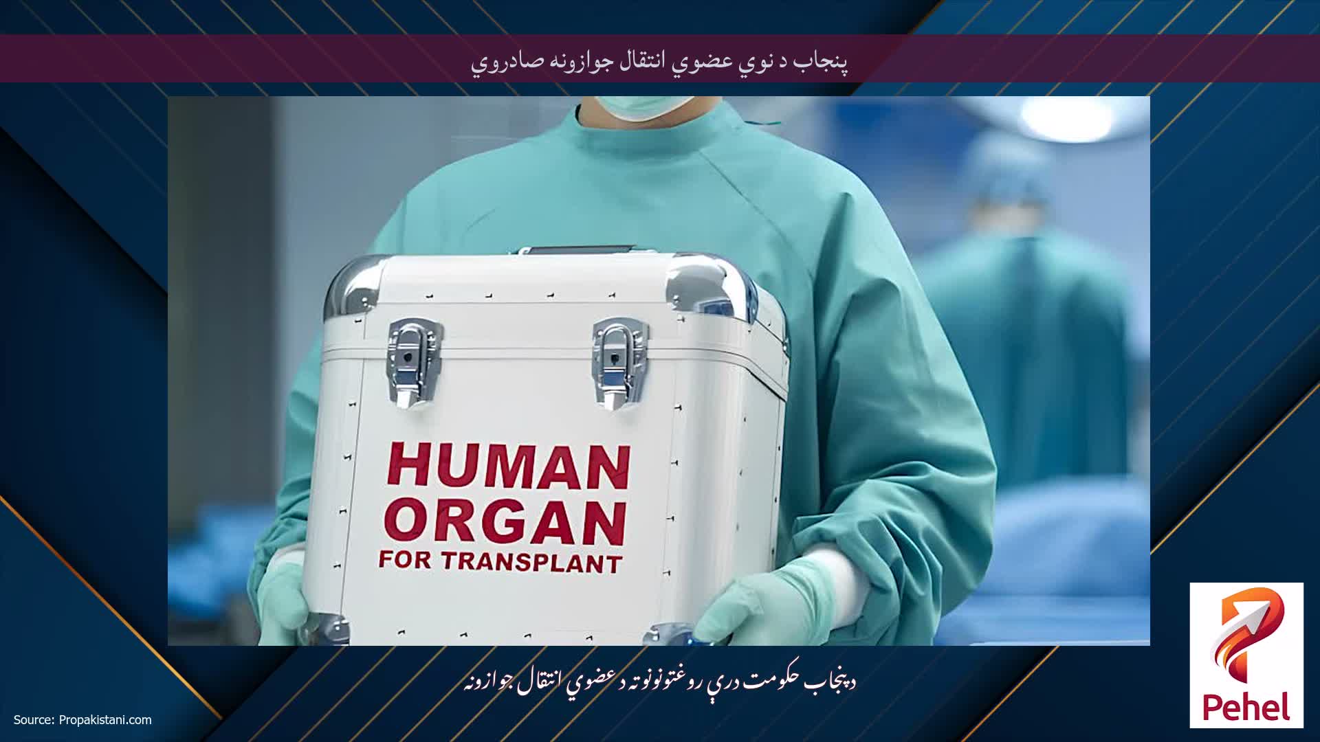 پنجاب د نوي عضوي انتقال جوازونه صادروي