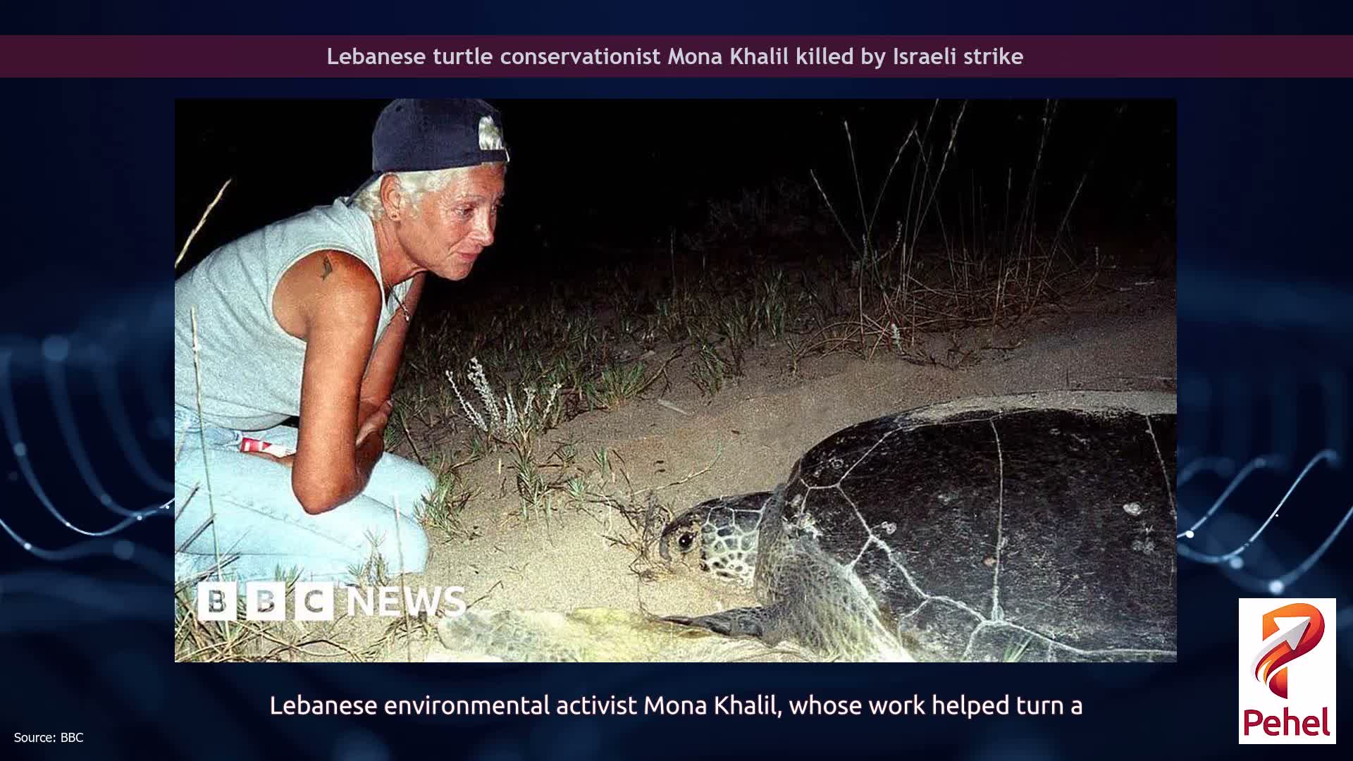 Lebanese turtle conservationist Mona Khalil killed by Israeli strike