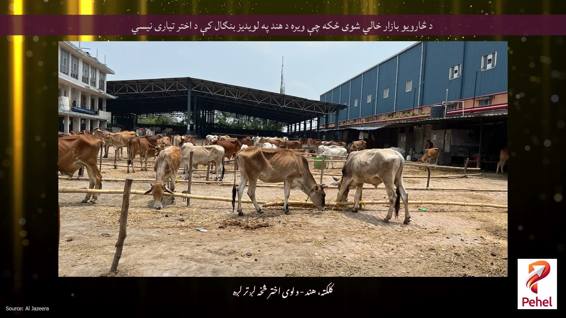 د څارویو بازار خالي شوی ځکه چې ویره د هند په لویدیز بنګال کې د اختر تیاری نیسي