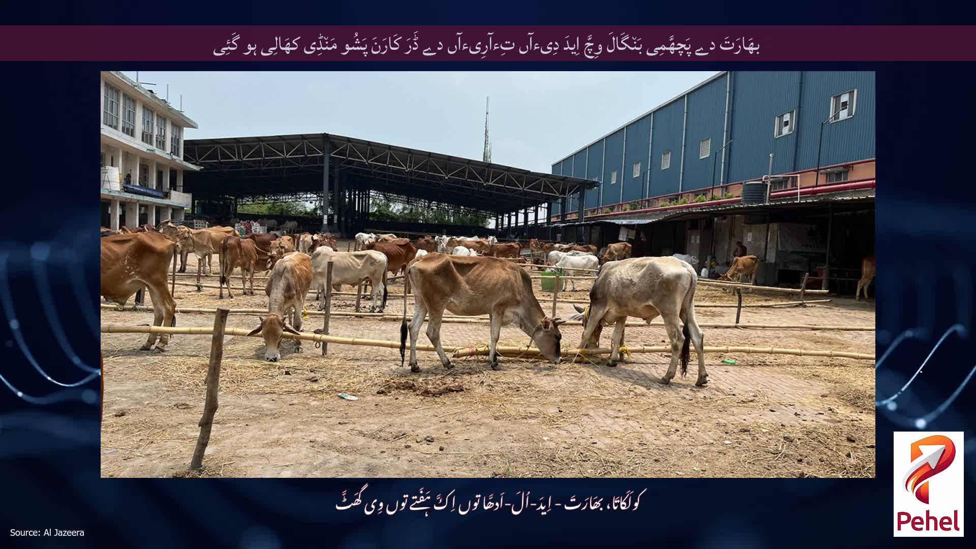 بھَارَتَ دے پَچھَّمِی بَن٘گَالَ وِچَّ اِیدَ دِیءآں تِءآرِیءآں دے ڈَرَ کَارَنَ پَشُو مَن٘ڈِی کھَالِی ہو گَئِی