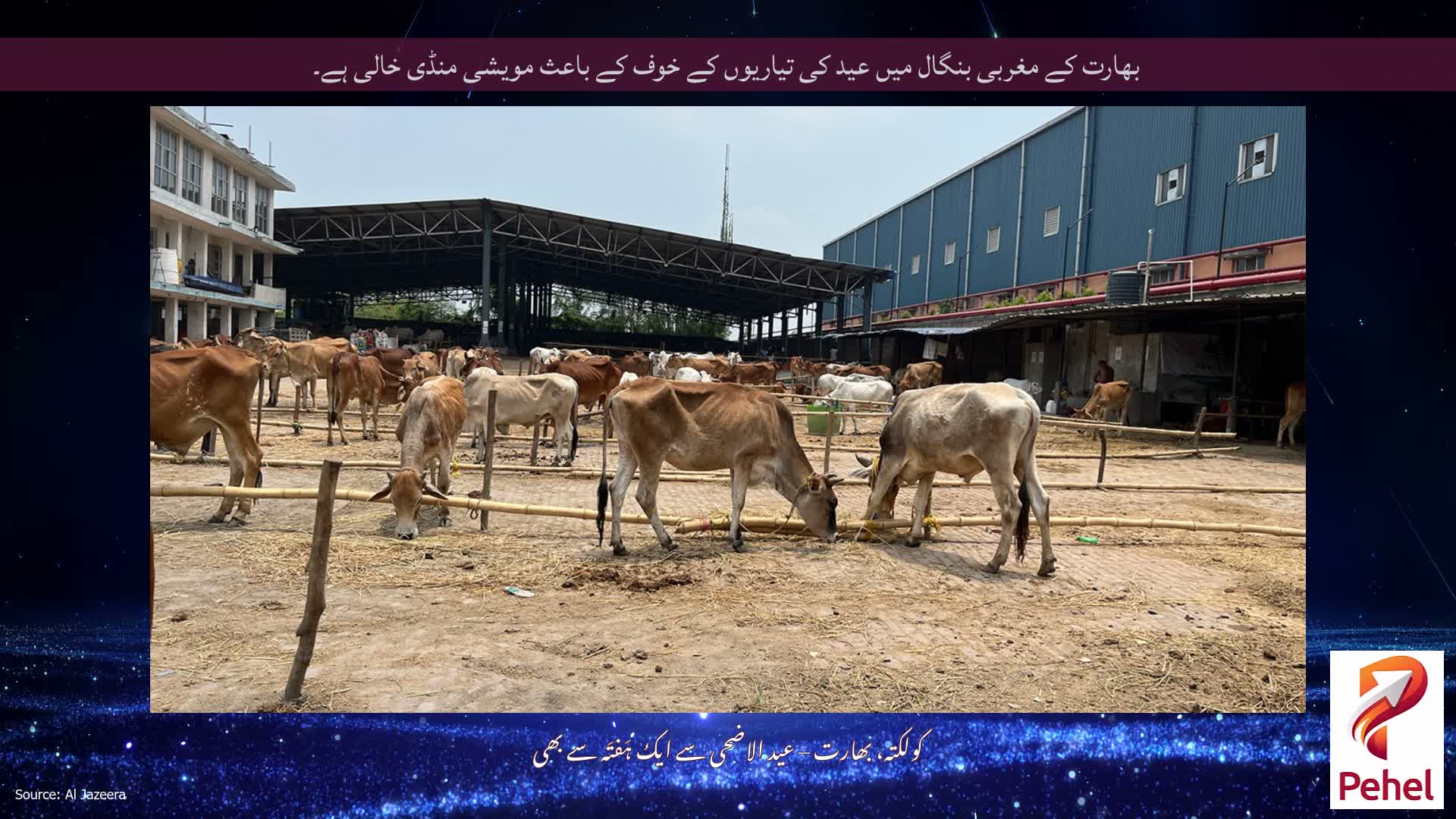 بھارت کے مغربی بنگال میں عید کی تیاریوں کے خوف کے باعث مویشی منڈی خالی ہے۔