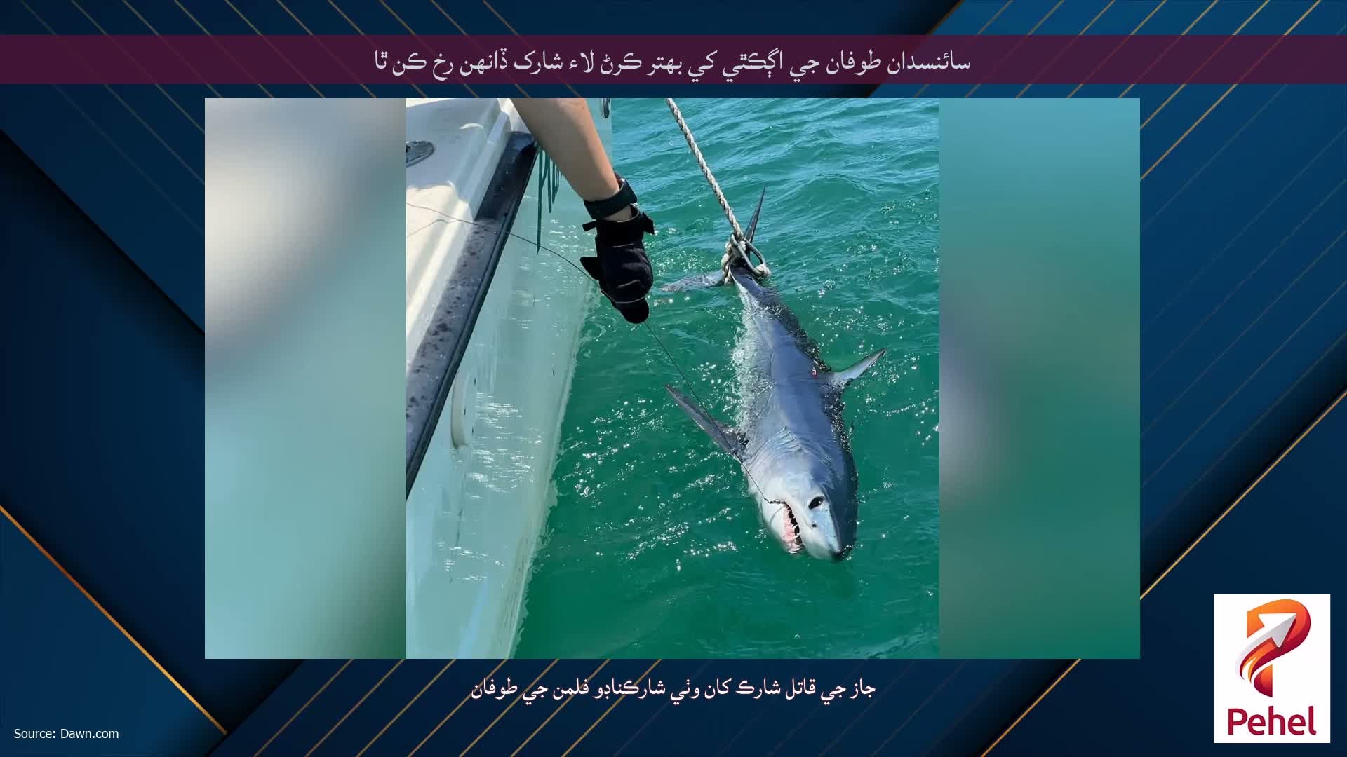 سائنسدان طوفان جي اڳڪٿي کي بهتر ڪرڻ لاء شارک ڏانهن رخ ڪن ٿا