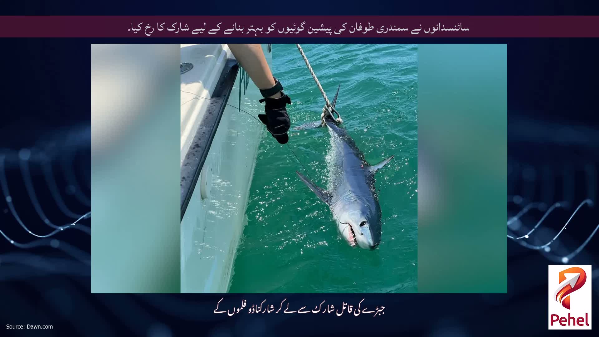 سائنسدانوں نے سمندری طوفان کی پیشین گوئیوں کو بہتر بنانے کے لیے شارک کا رخ کیا۔