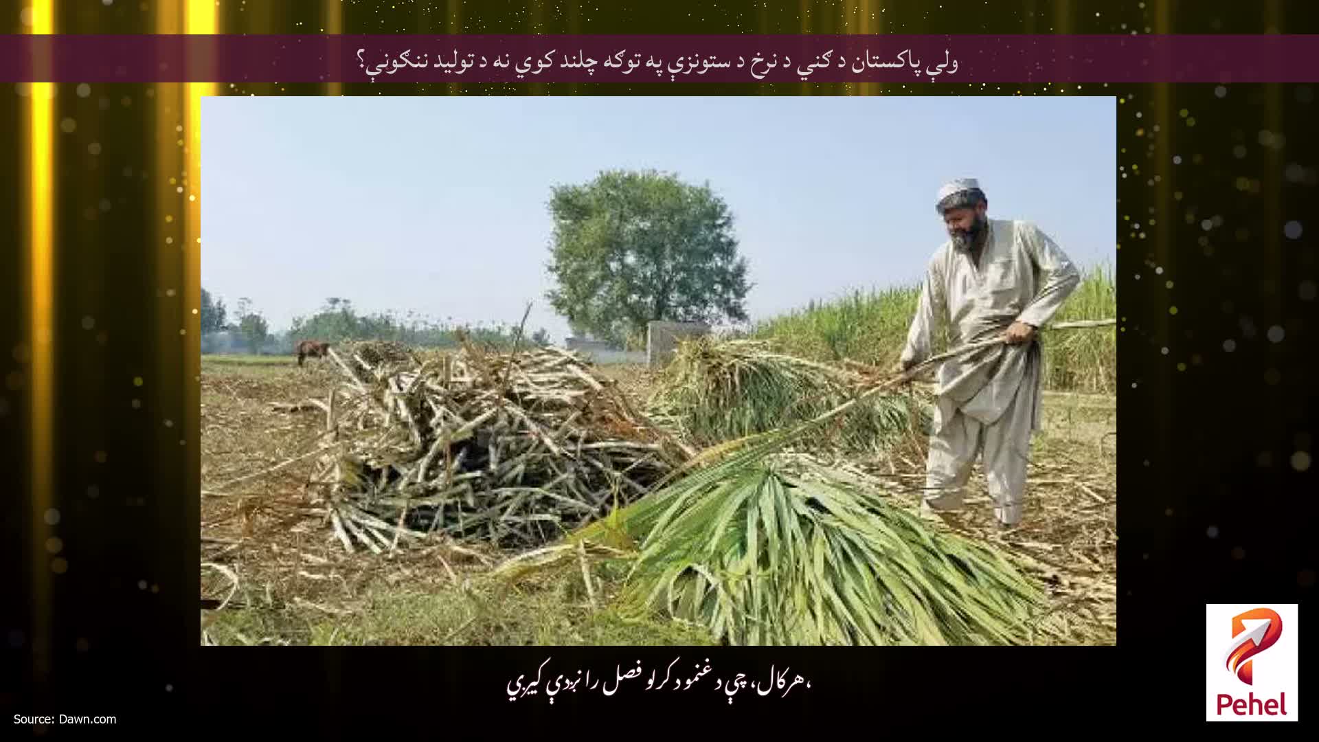 ولې پاکستان د ګني د نرخ د ستونزې په توګه چلند کوي نه د تولید ننګونې؟