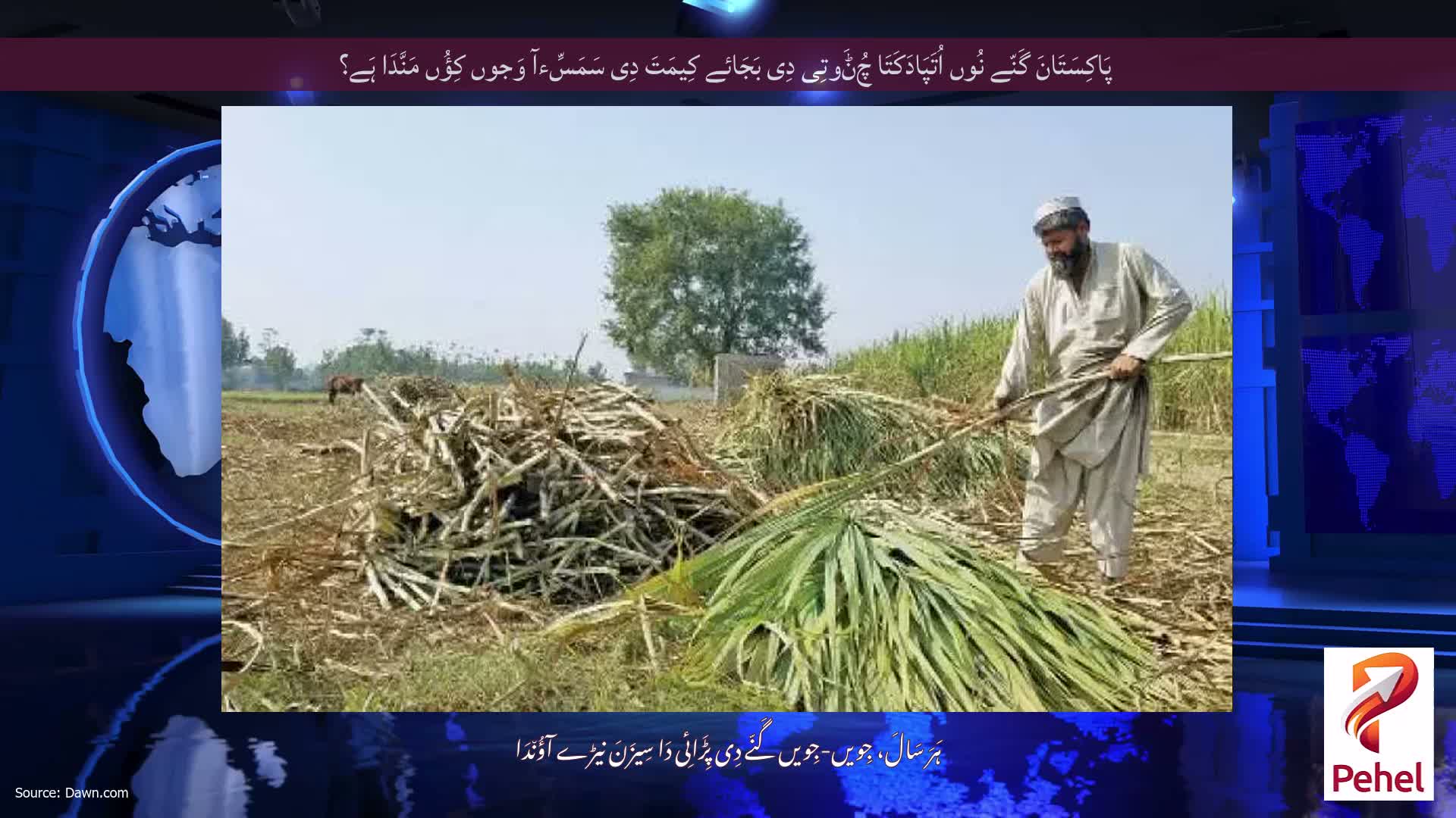 پَاکِسَتَانَ گَنّے نُوں اُتَپَادَکَتَا چُݨَوتِی دِی بَجَائے کِیمَتَ دِی سَمَسِّءآ وَجوں کِؤُں مَنَّدَا ہَے؟