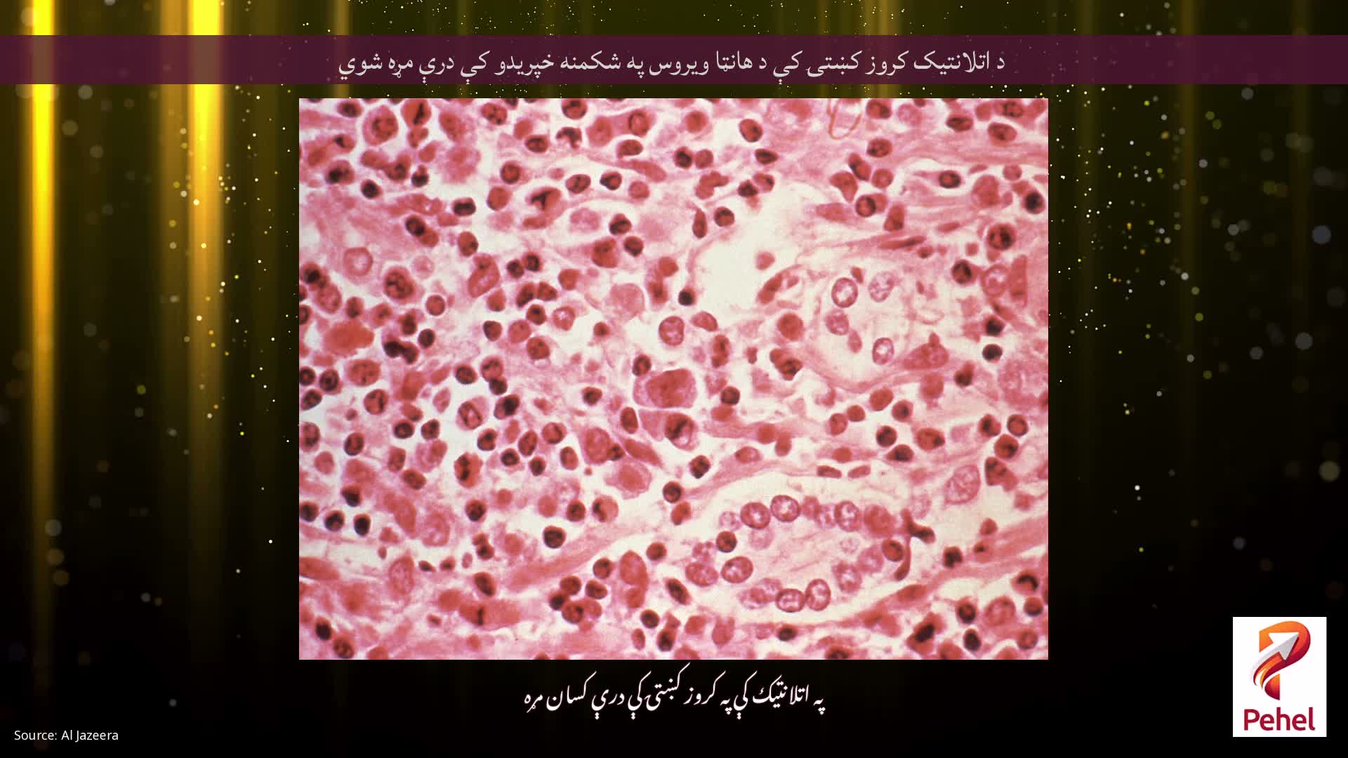 د اتلانتیک کروز کښتۍ کې د هانټا ویروس په شکمنه خپریدو کې درې مړه شوي