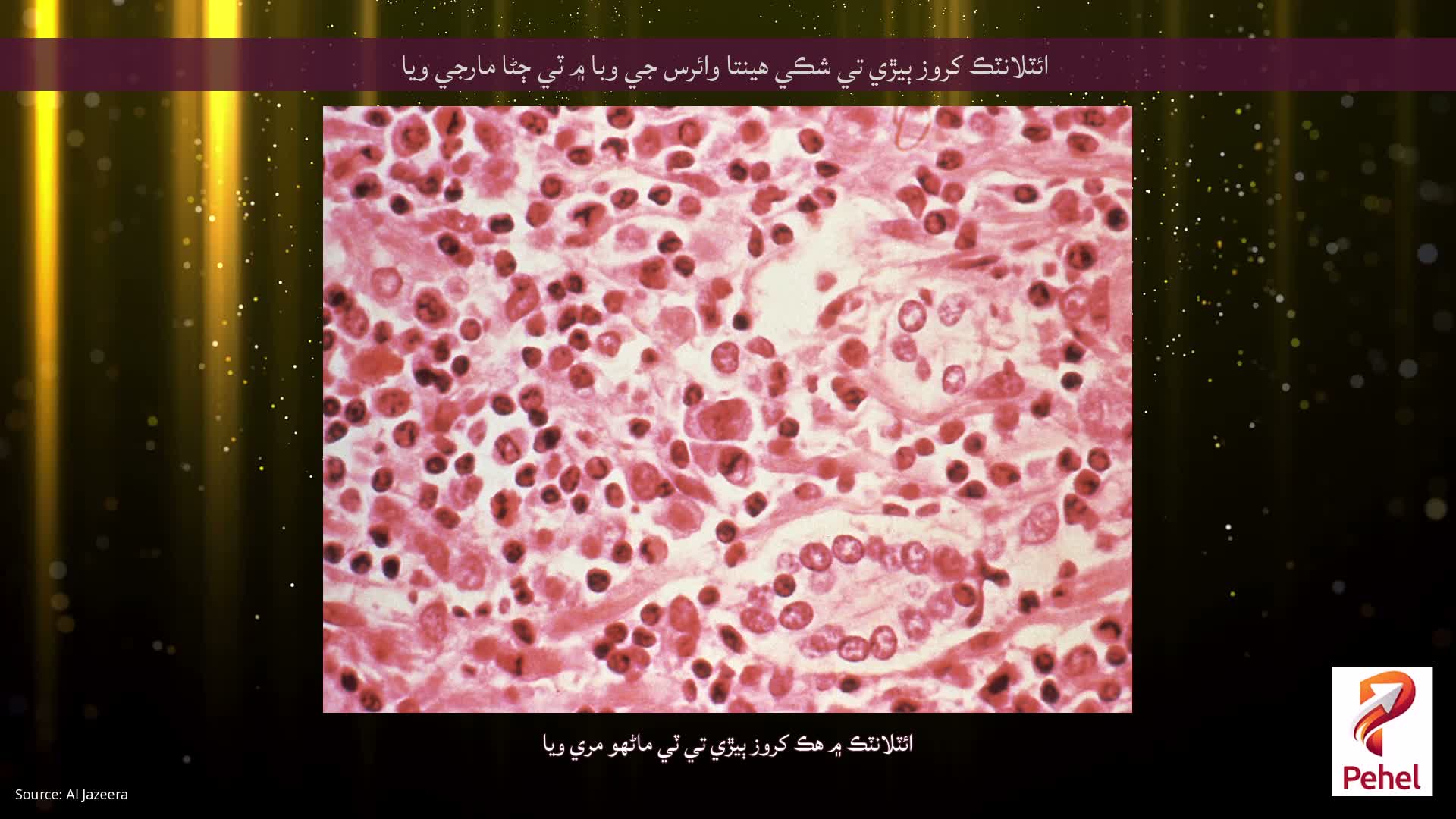 ائٽلانٽڪ کروز ٻيڙي تي شڪي هينتا وائرس جي وبا ۾ ٽي ڄڻا مارجي ويا