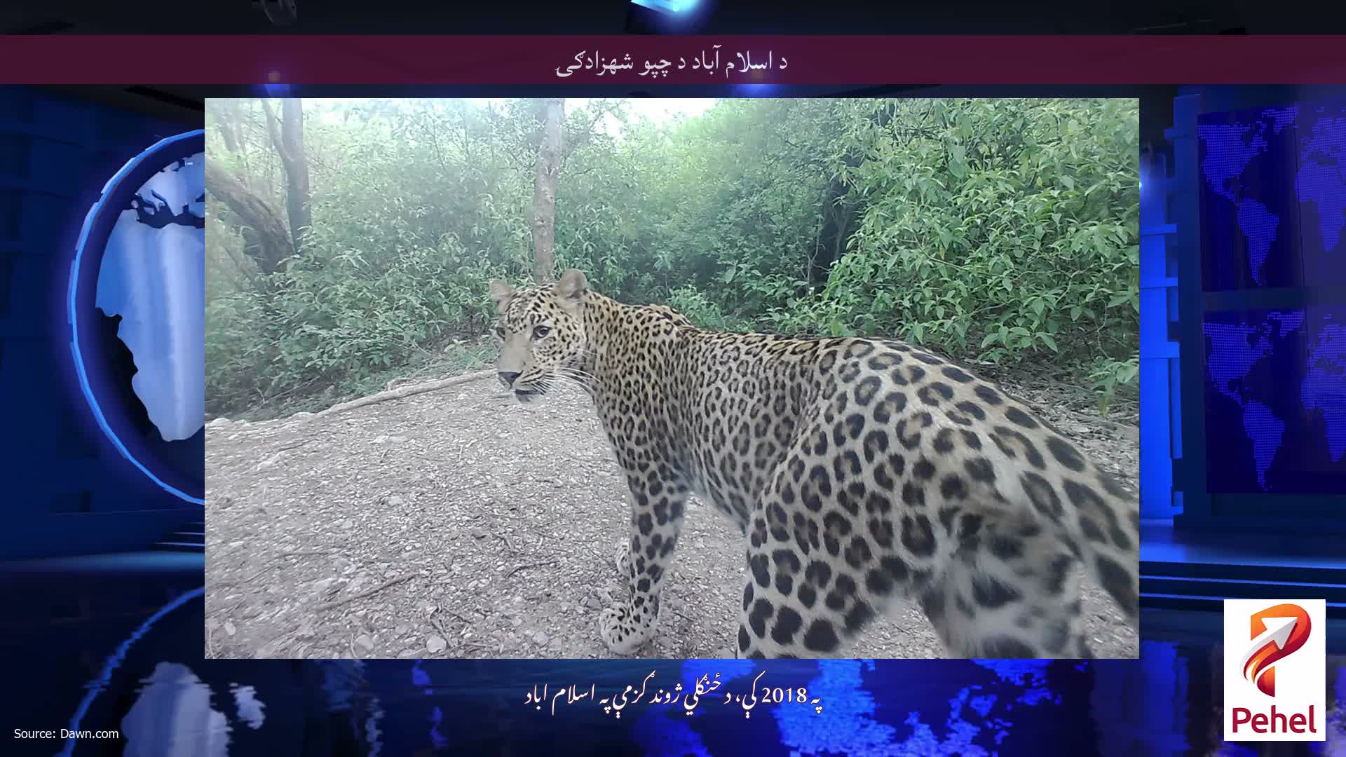 د اسلام آباد د چپو شهزادګۍ