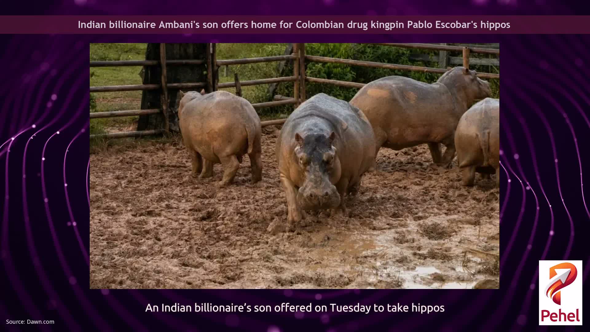 Indian billionaire Ambani's son offers home for Colombian drug kingpin Pablo Escobar's hippos