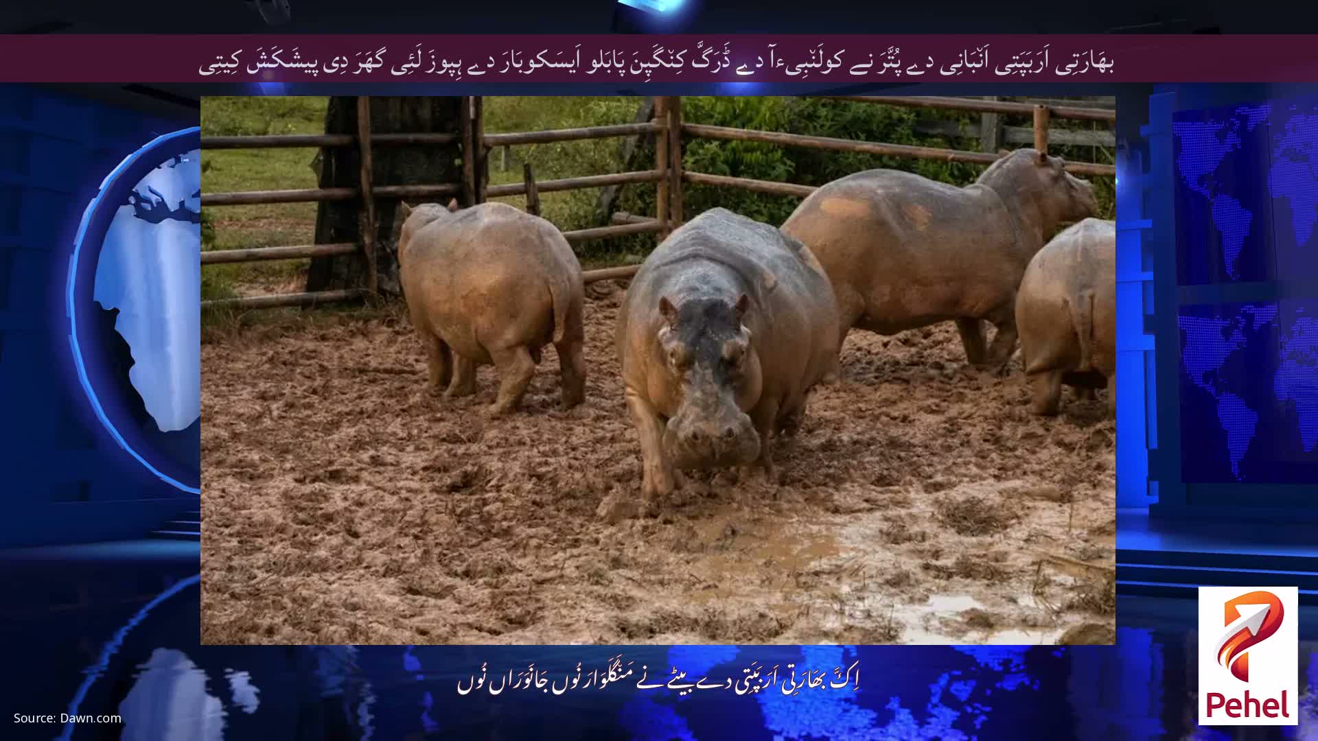 بھَارَتِی اَرَبَپَتِی اَن٘بَانِی دے پُتَّرَ نے کولَن٘بِیءآ دے ڈَرَگَّ کِن٘گَپِنَ پَابَلو اَیسَکوبَارَ دے ہِپوزَ لَئِی گھَرَ دِی پیشَکَشَ کِیتِی