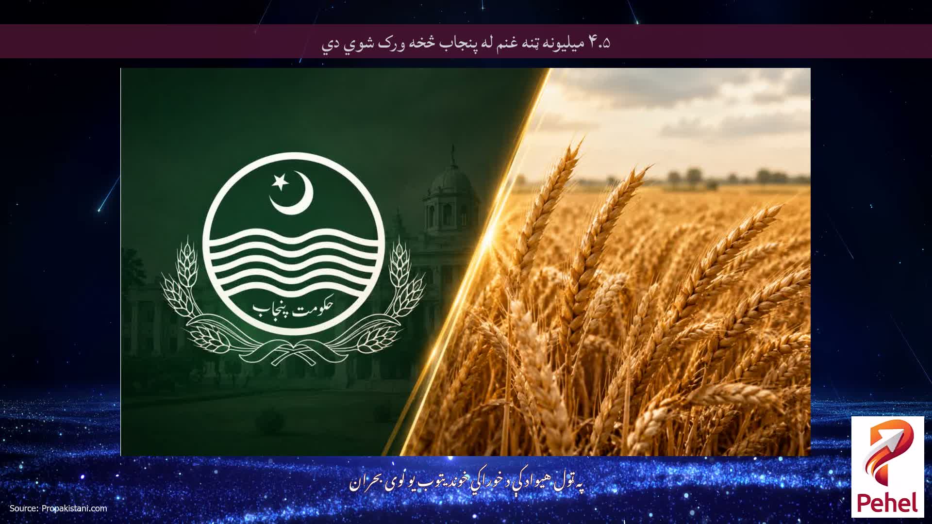 ۴.۵ میلیونه ټنه غنم له پنجاب څخه ورک شوي دي